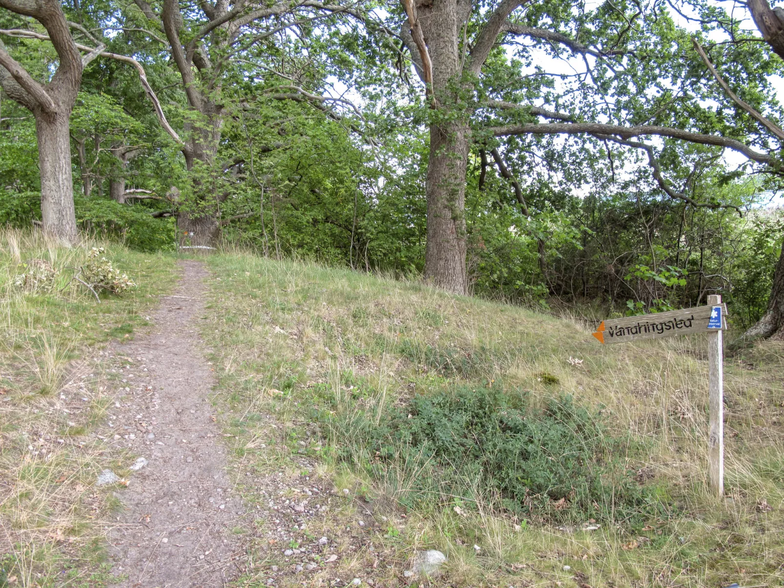 Stegeborg Sjöstugan-Buiten