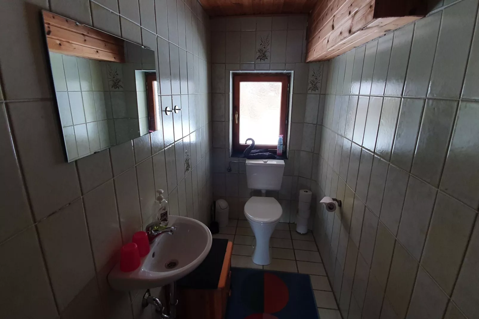 Garconniere-Badkamer