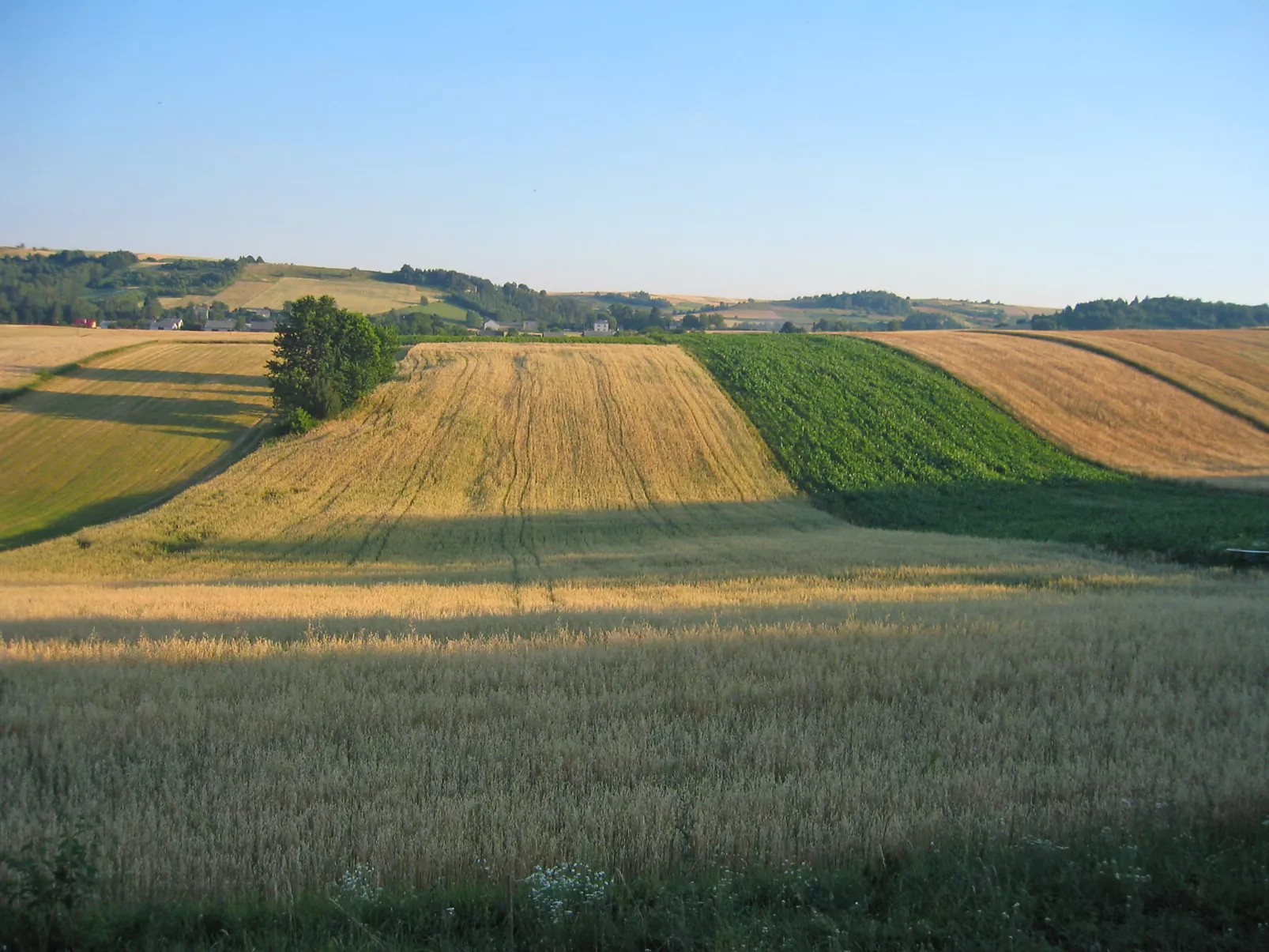 Jura dla Ciebie-Buiten