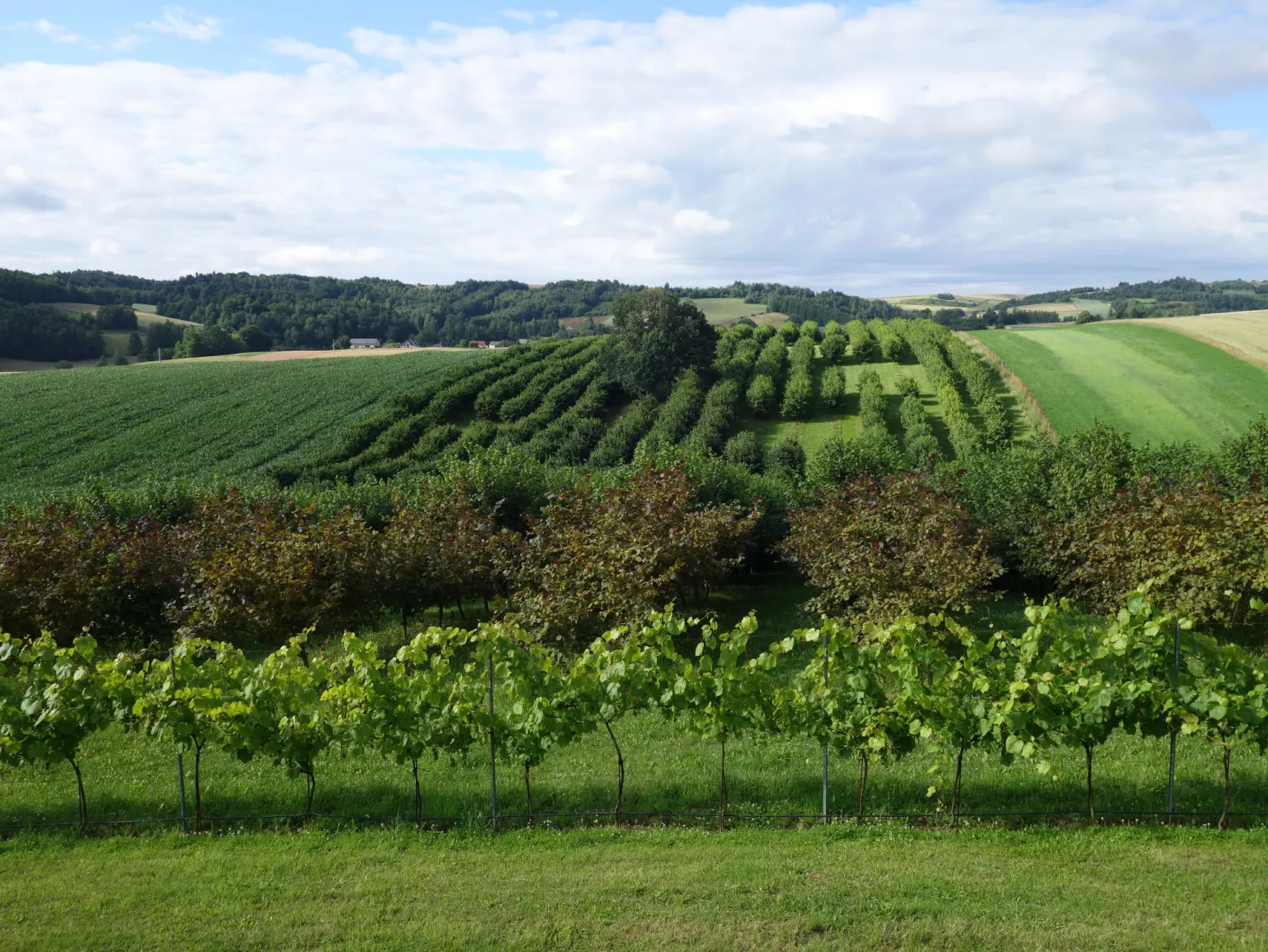 Jura dla Ciebie-Buiten