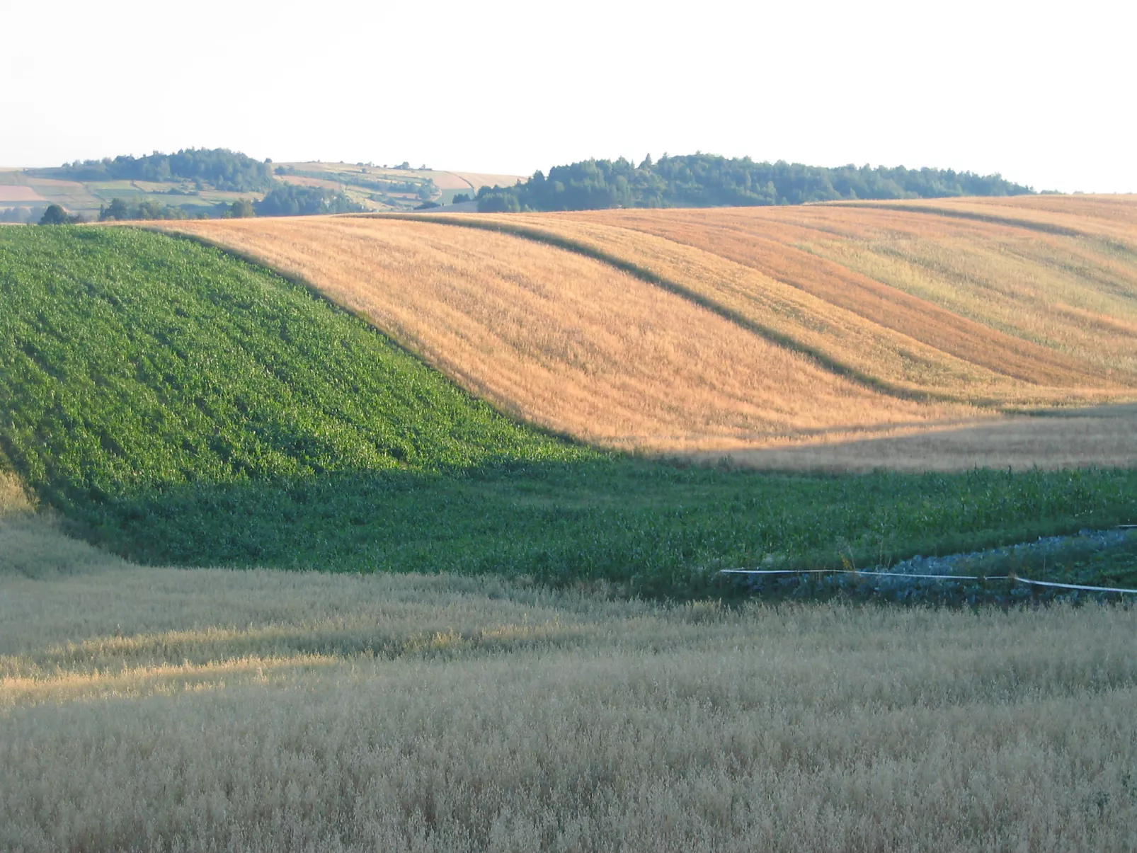 Moja Mała Toskania-Buiten