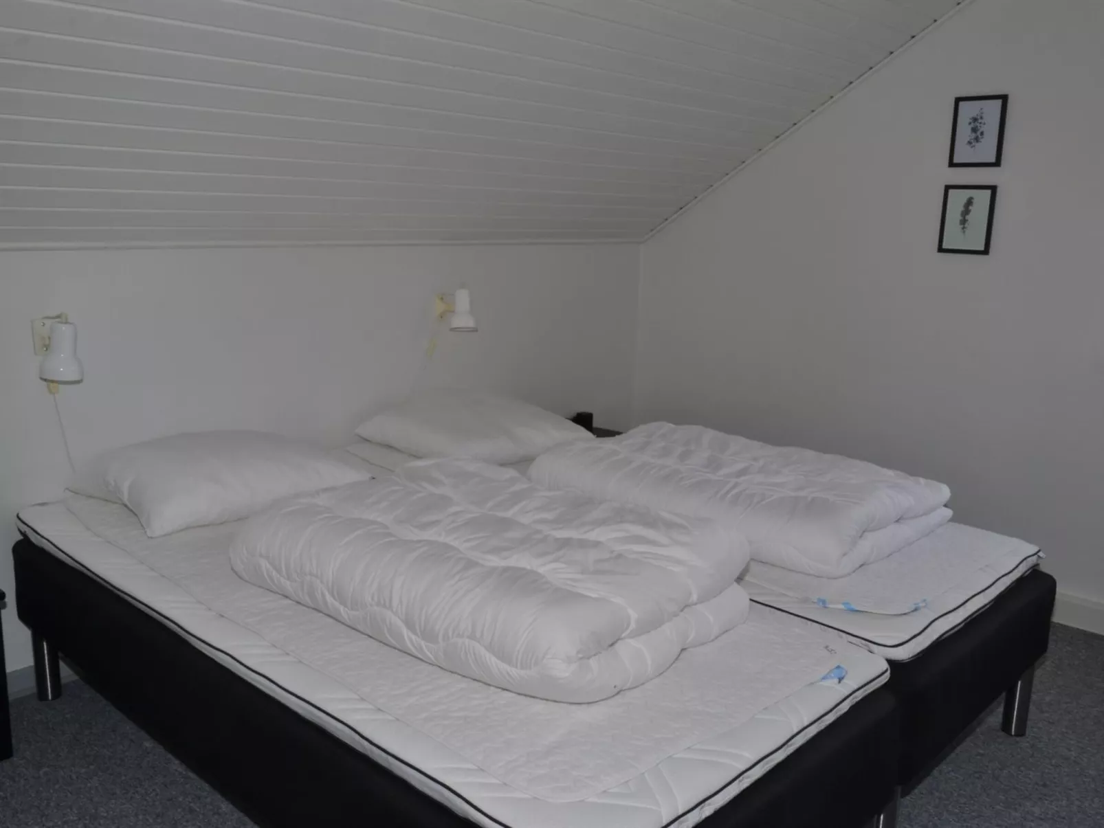 "Auti" - 2.3km from the sea-Binnen