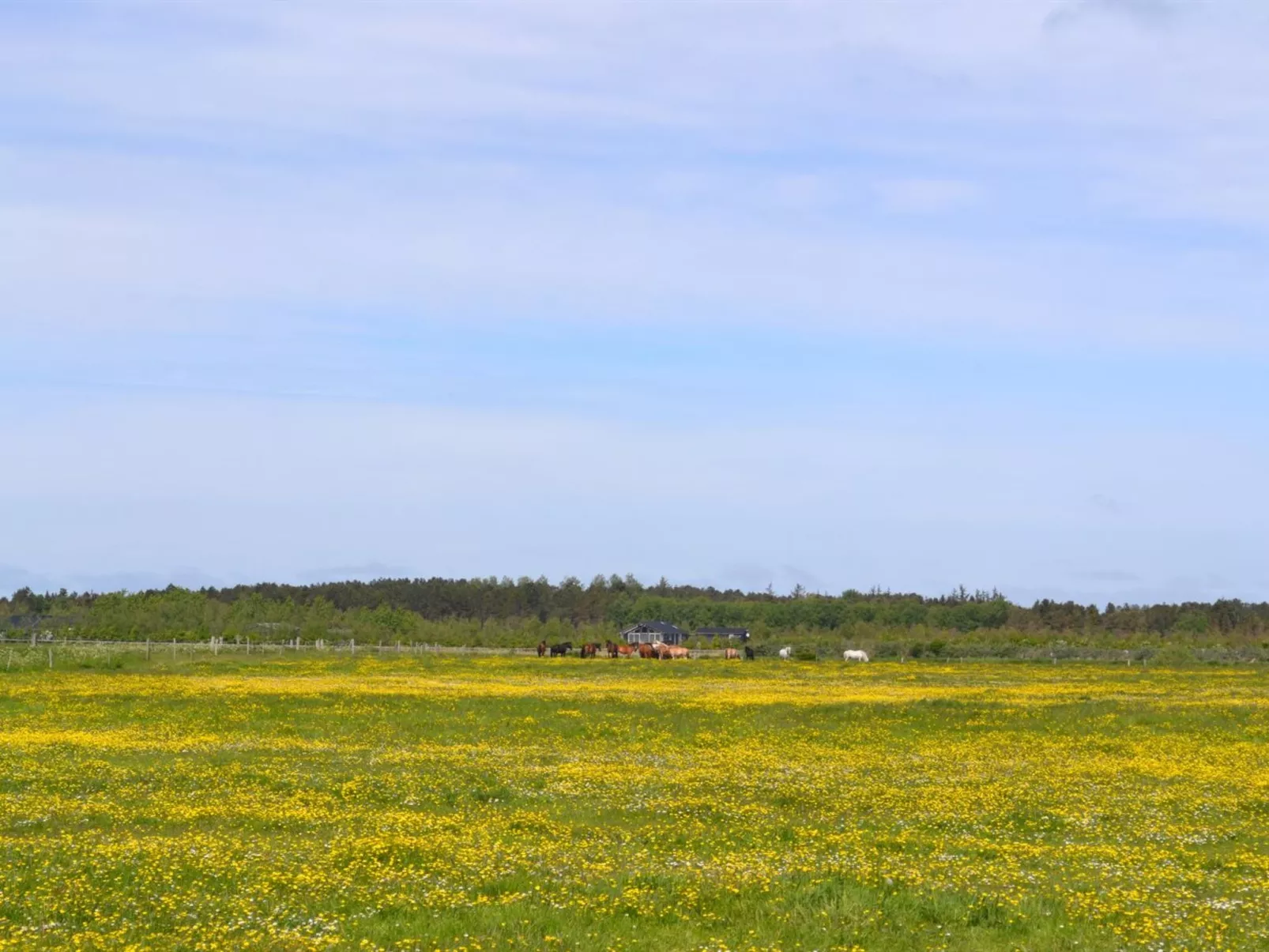 "Auti" - 2.3km from the sea-Buiten