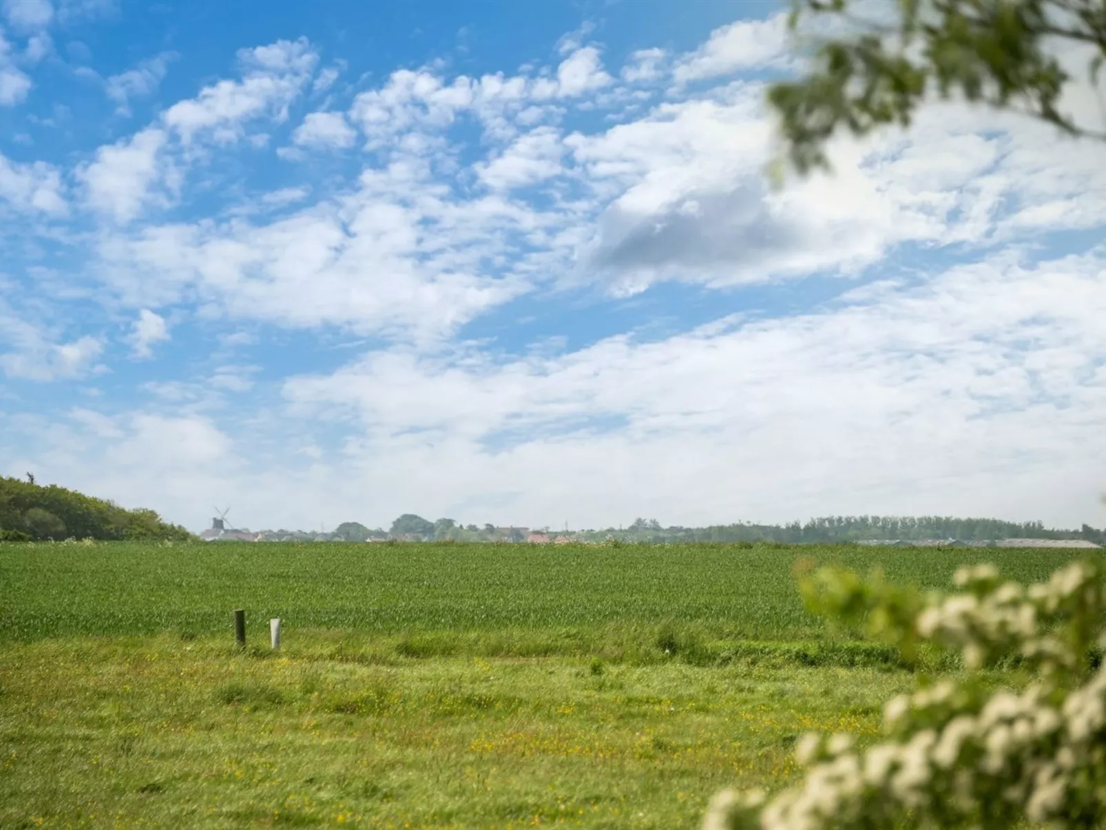 "Guthorm"-Buiten