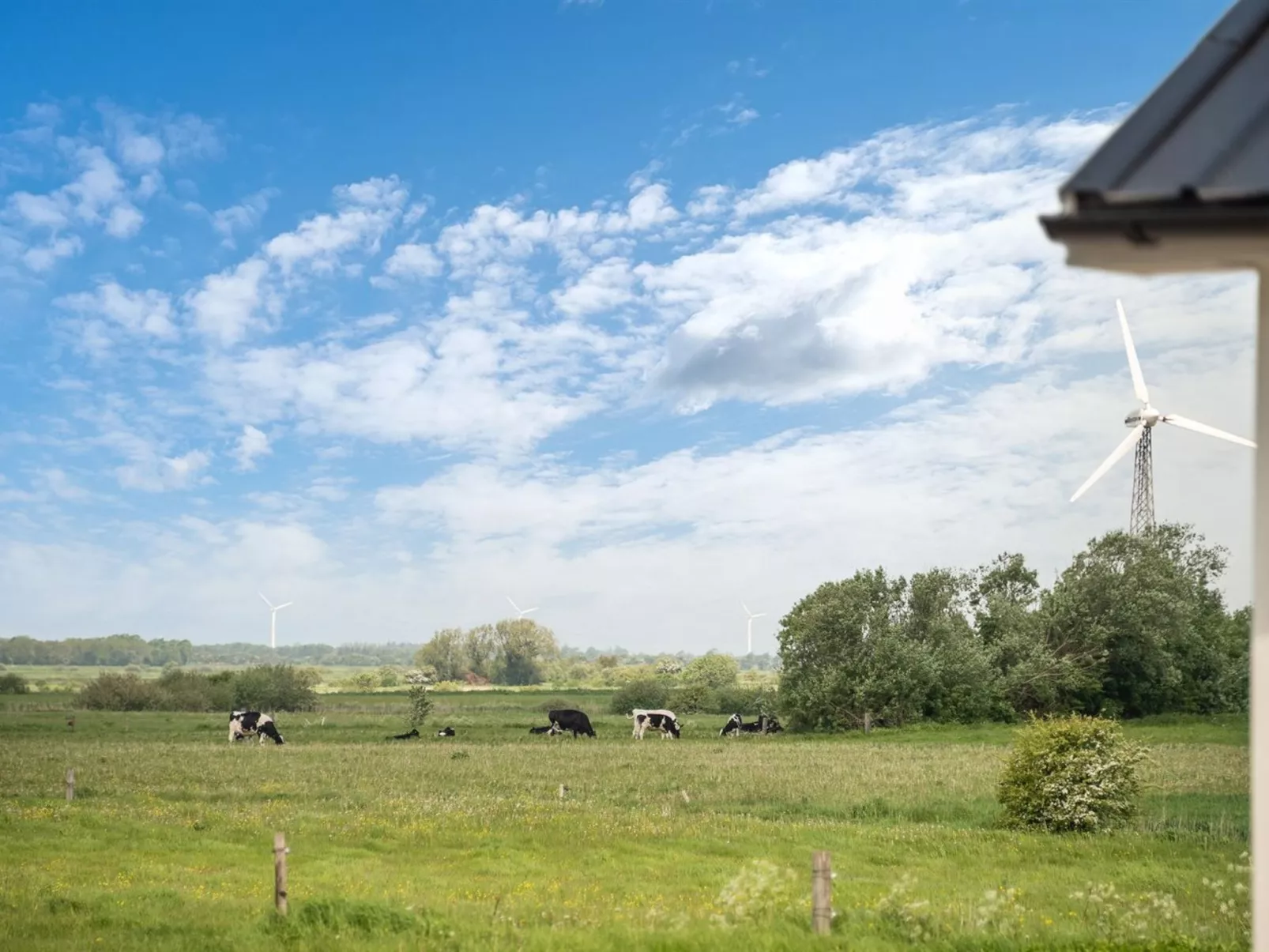 "Guthorm"-Buiten