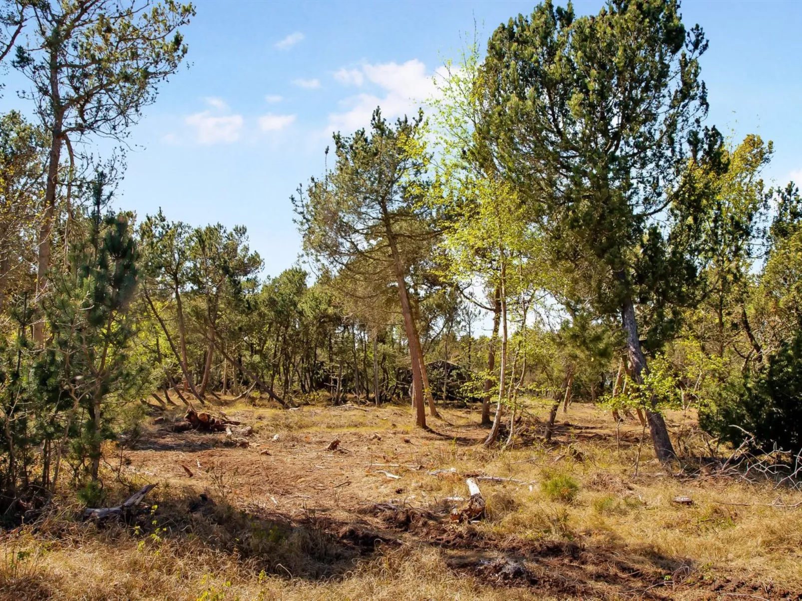 "Tumi" - 700m from the sea-Buiten