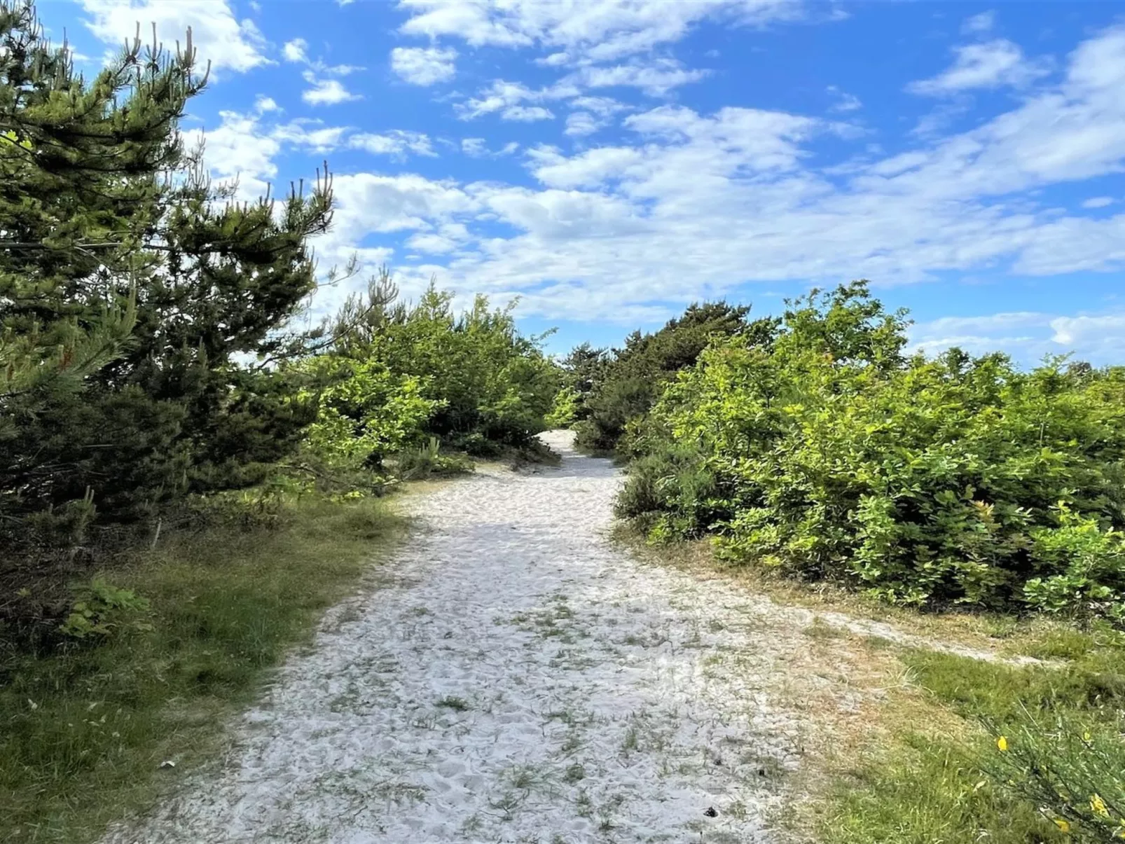 "Efka" - 175m from the sea-Buiten