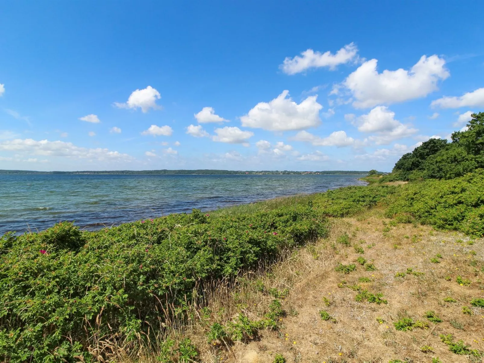 "Gudrun" - 400m from the sea-Buiten