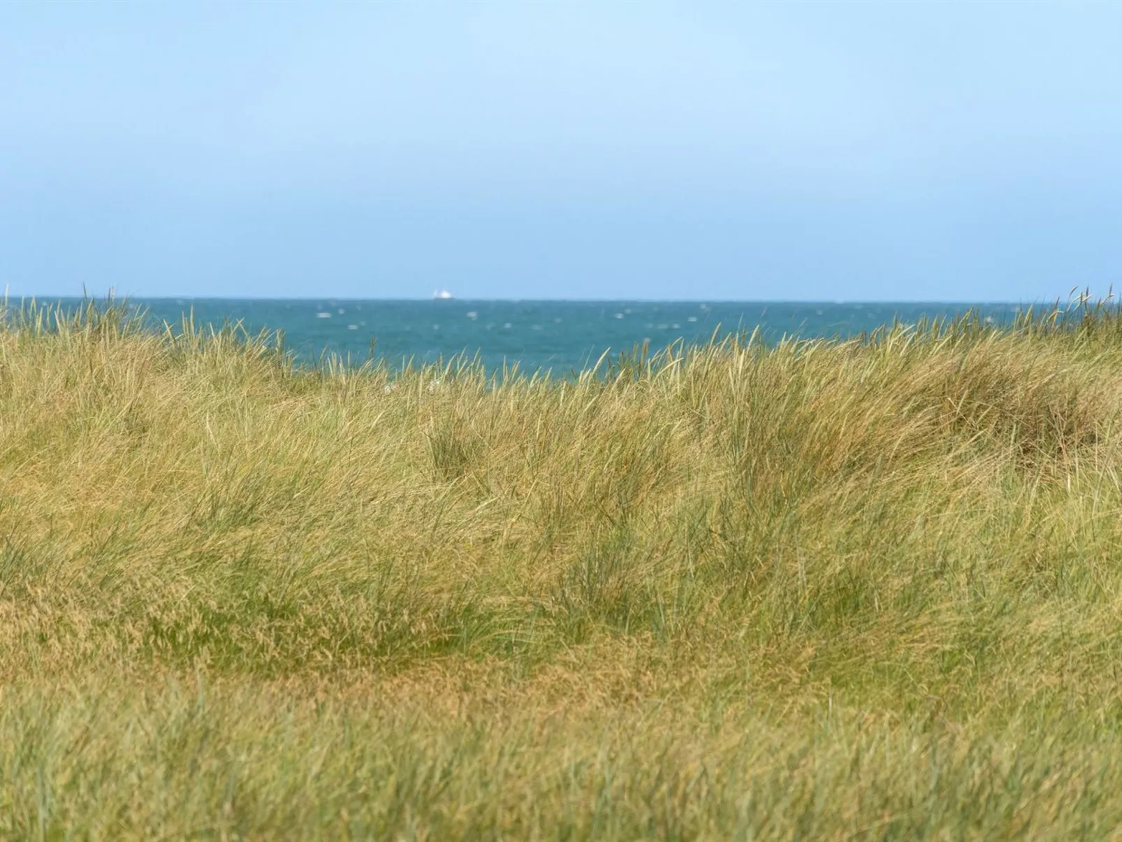 "Holger" - 50m from the sea-Buiten