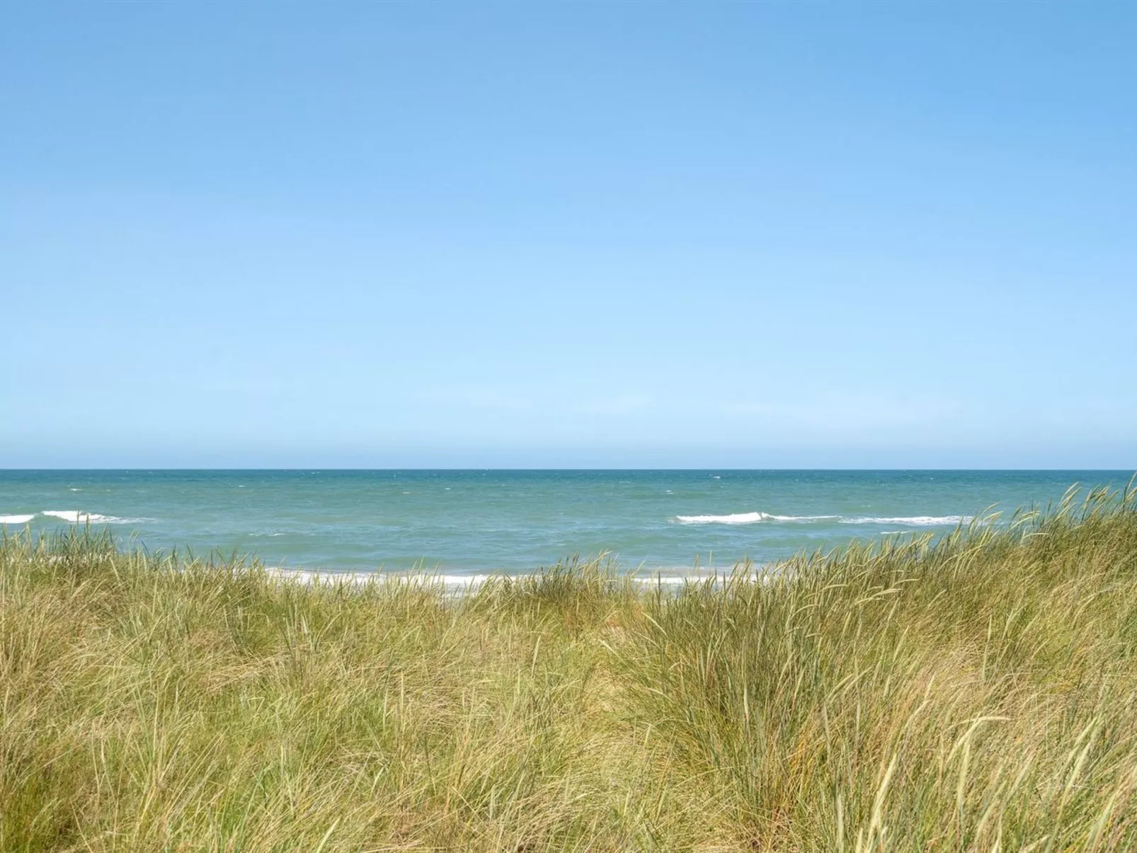 "Holger" - 50m from the sea-Buiten
