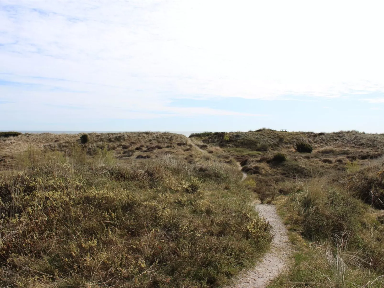 "Alexi" - 150m from the sea-Buiten