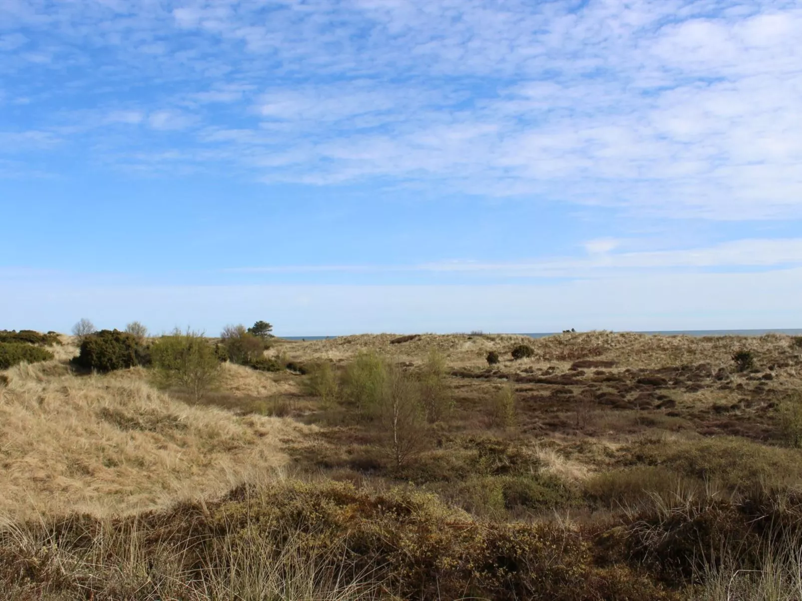 "Alexi" - 150m from the sea-Buiten