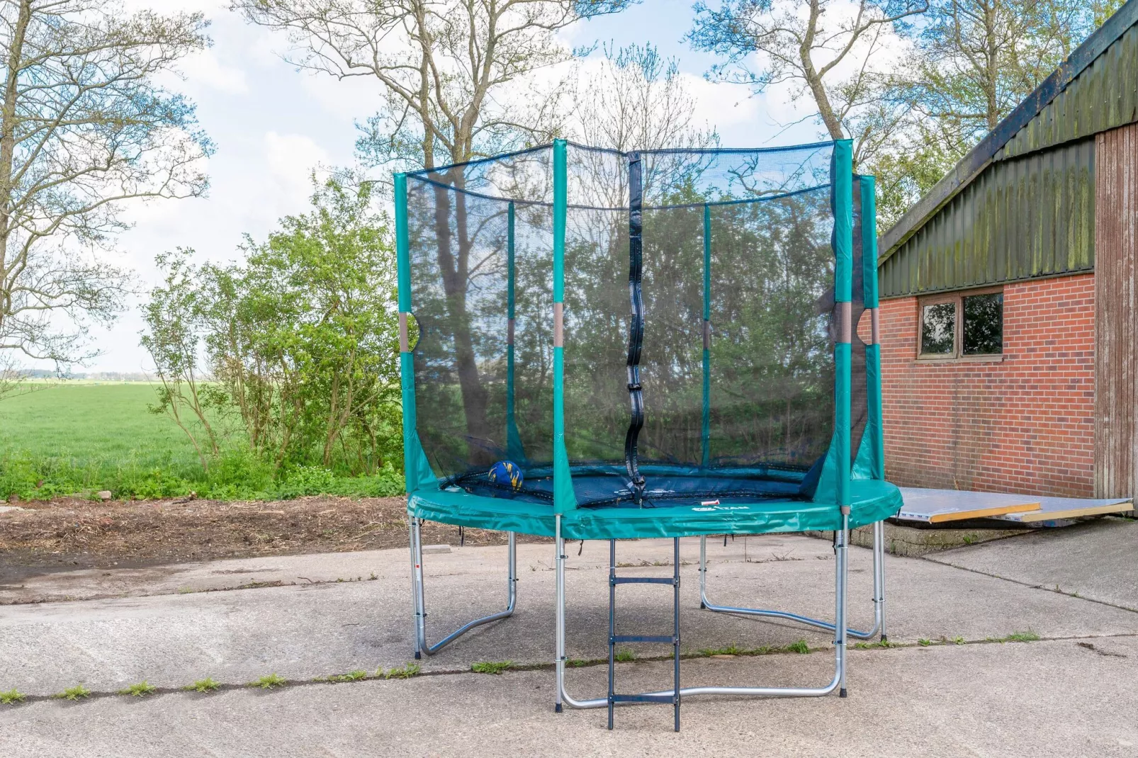 Gezellige Boerderij met chalet in Friesland-Faciliteiten