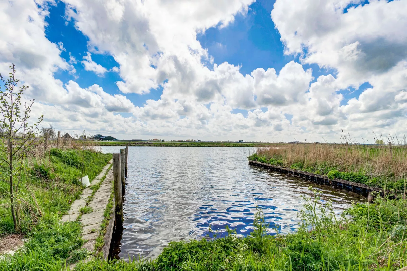 Gezellige Boerderij met chalet in Friesland-Gebieden zomer 1km