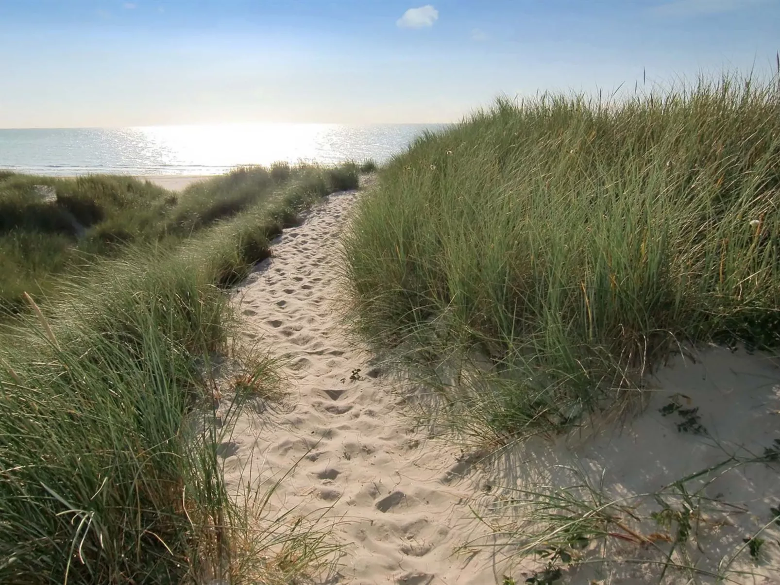 "Thythulf" - 550m from the sea-Buiten