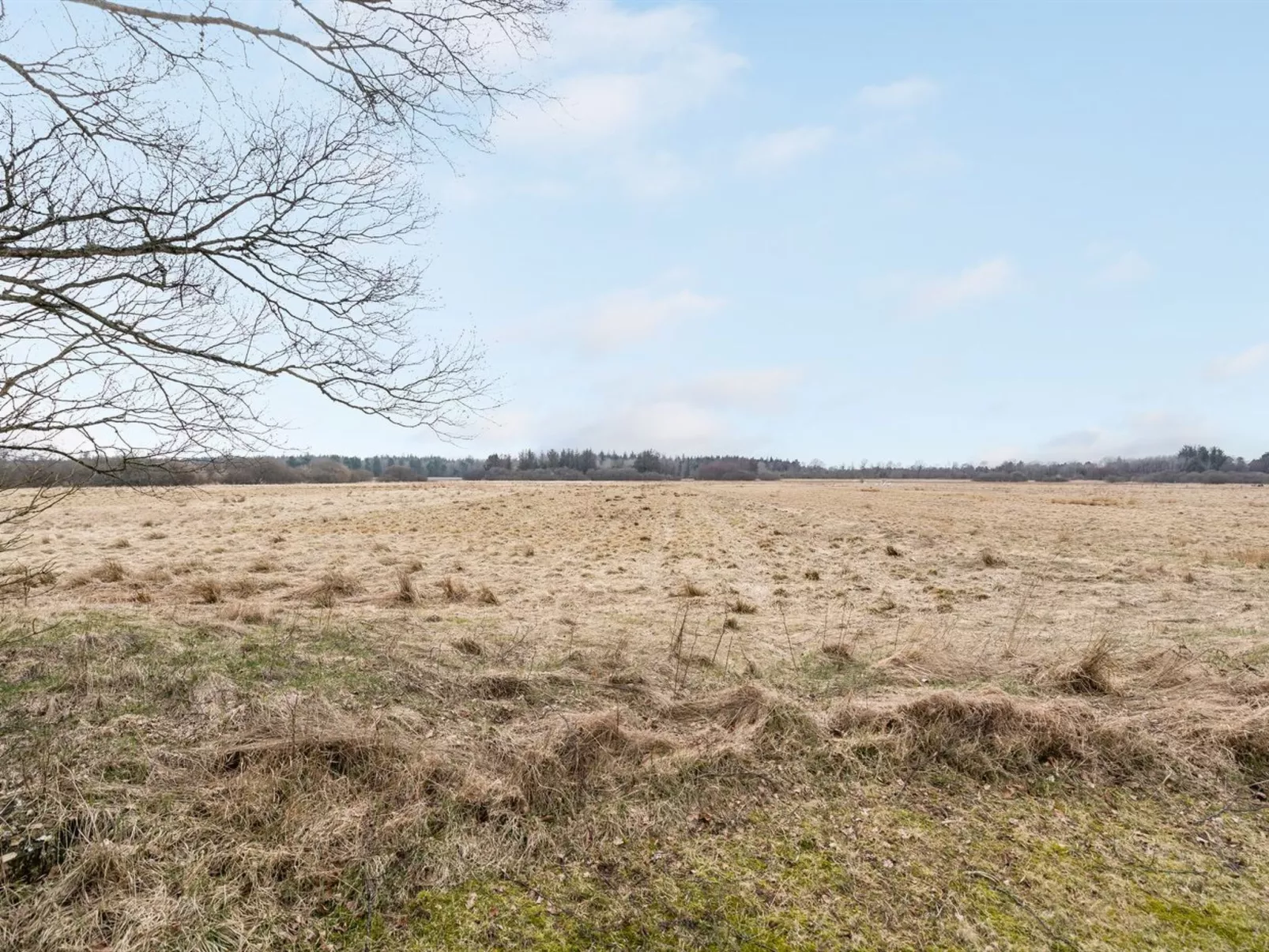 "Wingot" -  from the sea-Buiten
