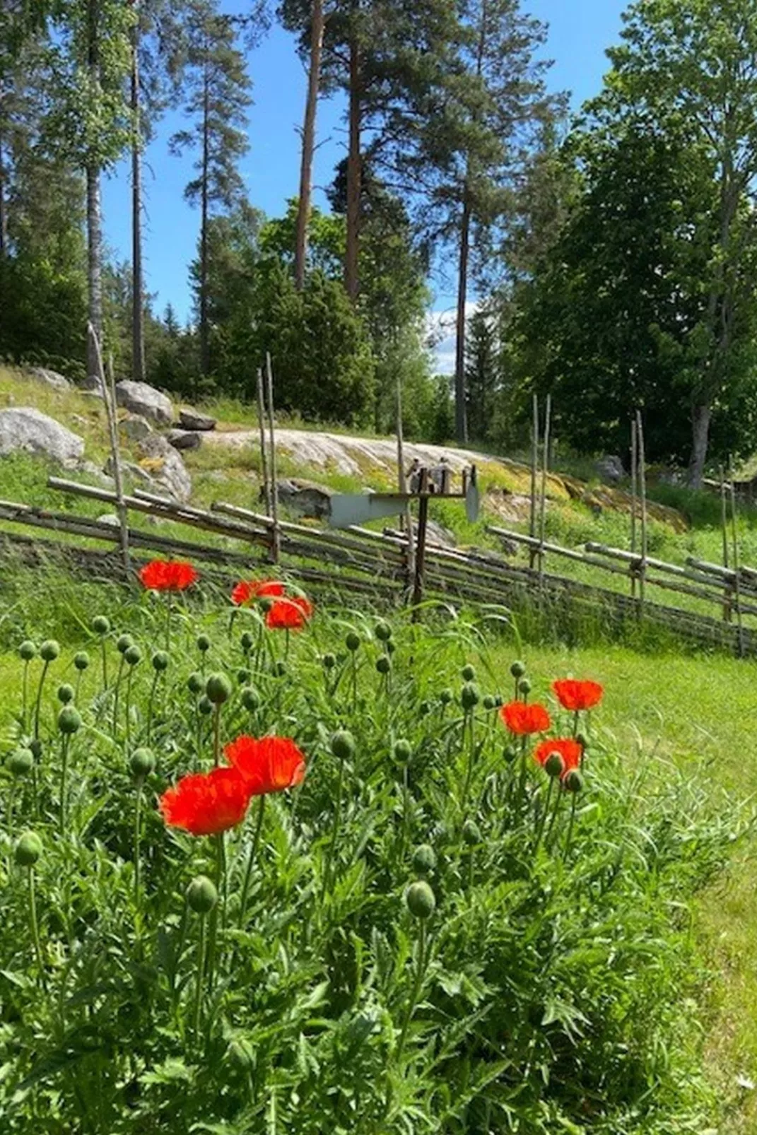 Skarpsätter Sportgård-Buiten