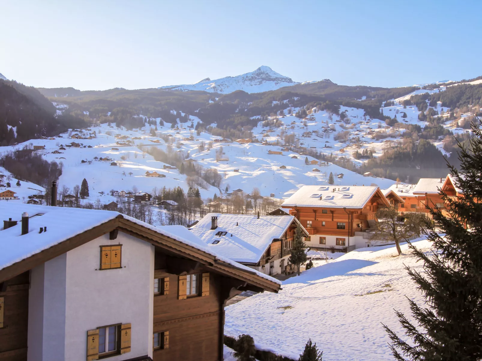 Chalet Cortina-Buiten