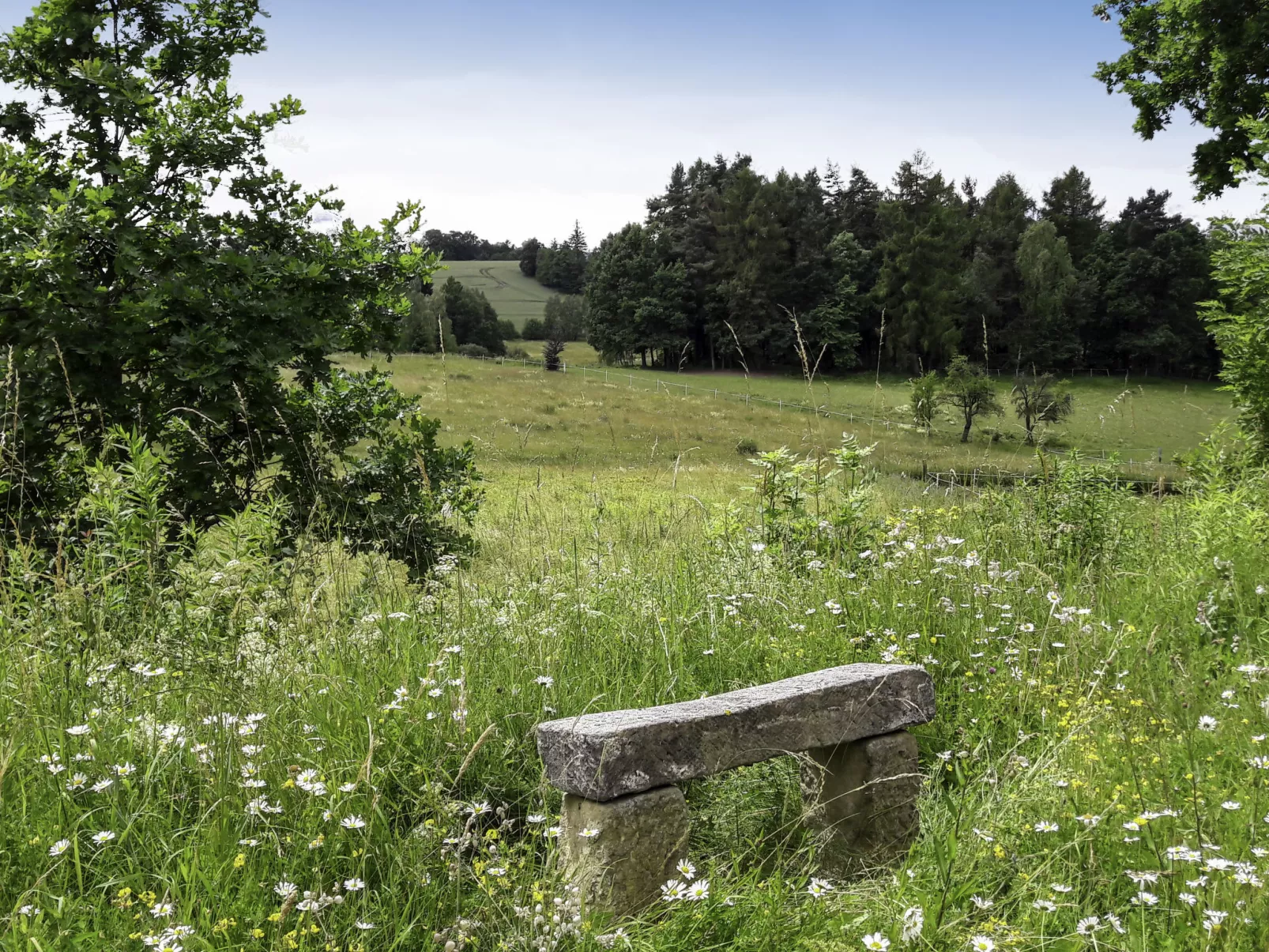 Dom na Skraju-Buiten