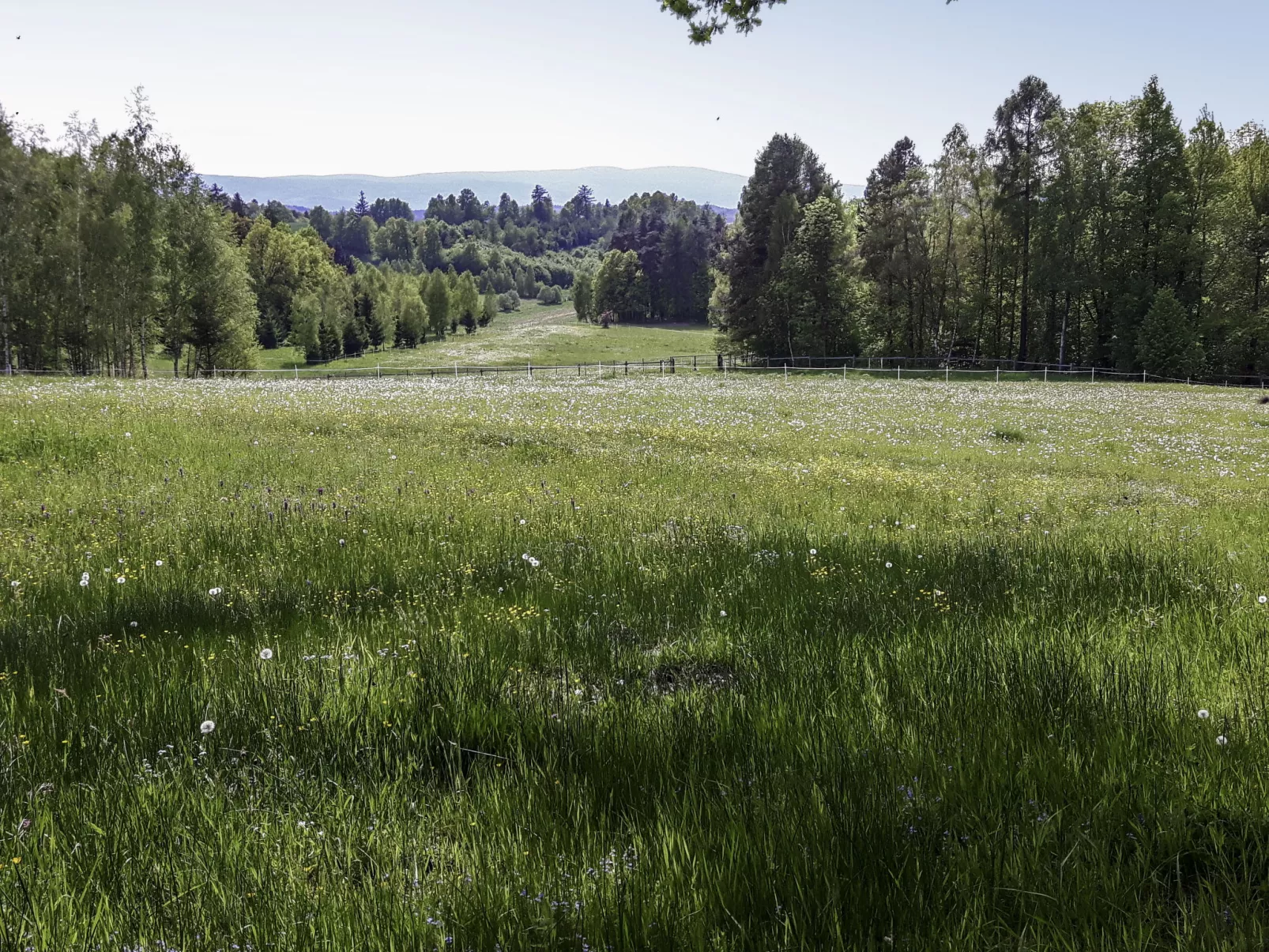 Dom na Skraju-Buiten