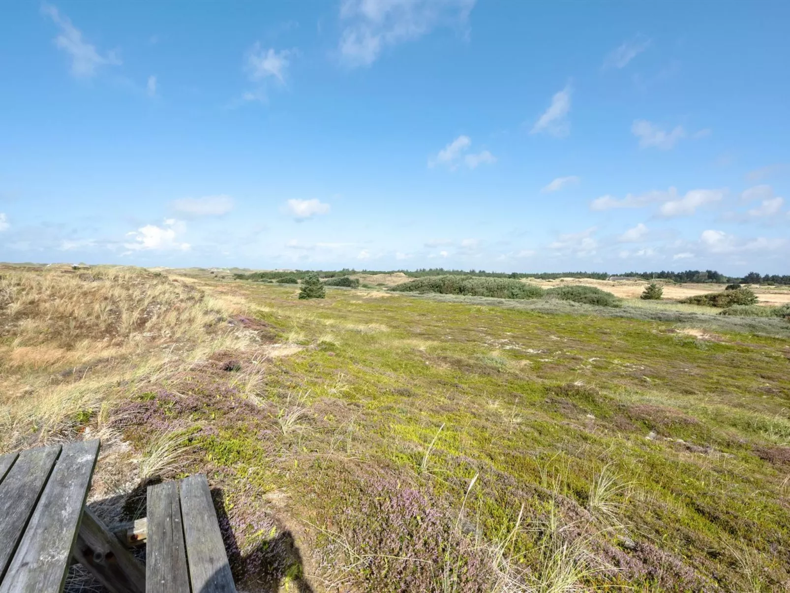 "Electra" - 500m to the inlet-Buiten