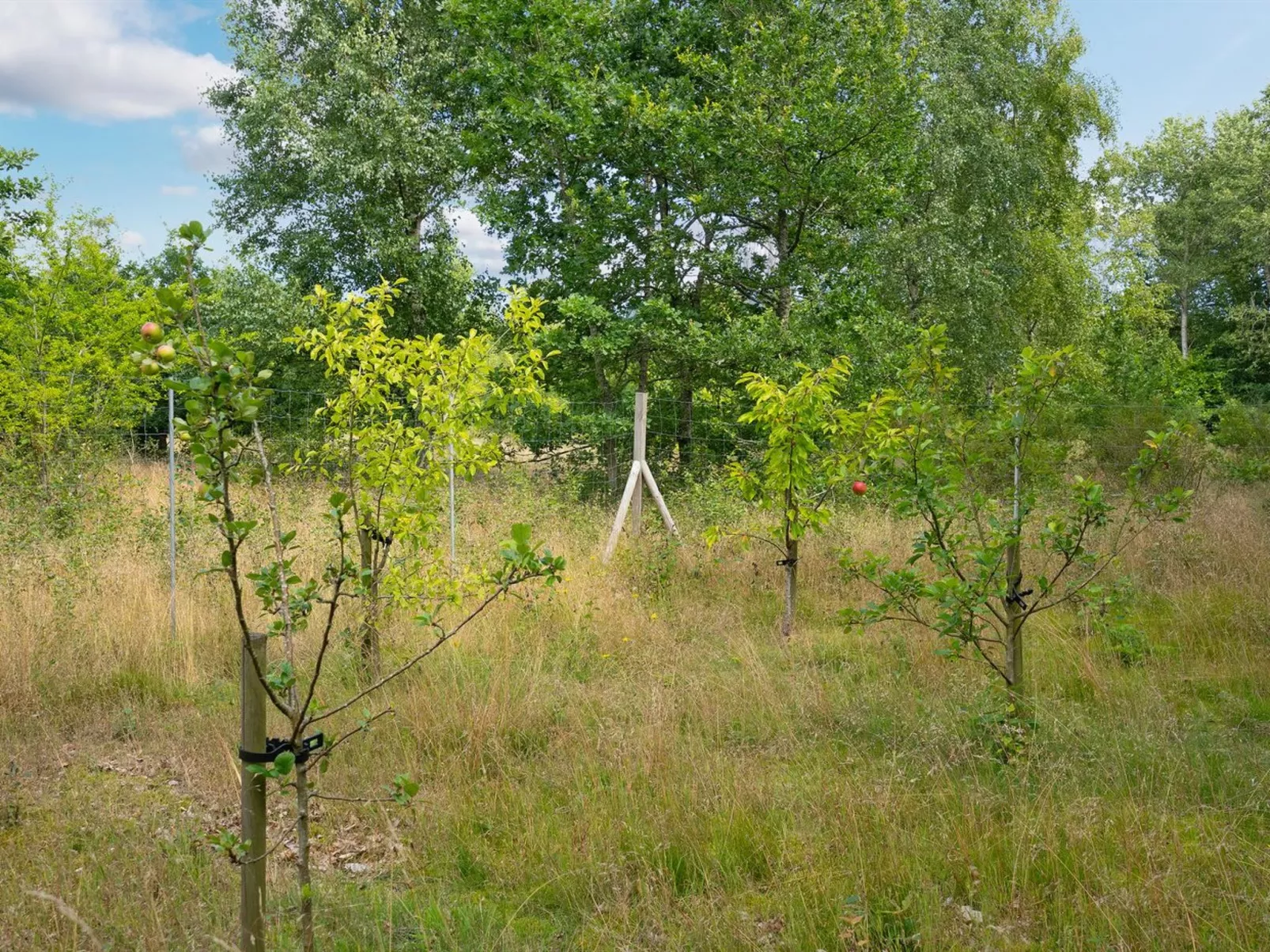 "Thorine" - 750m from the sea-Buiten