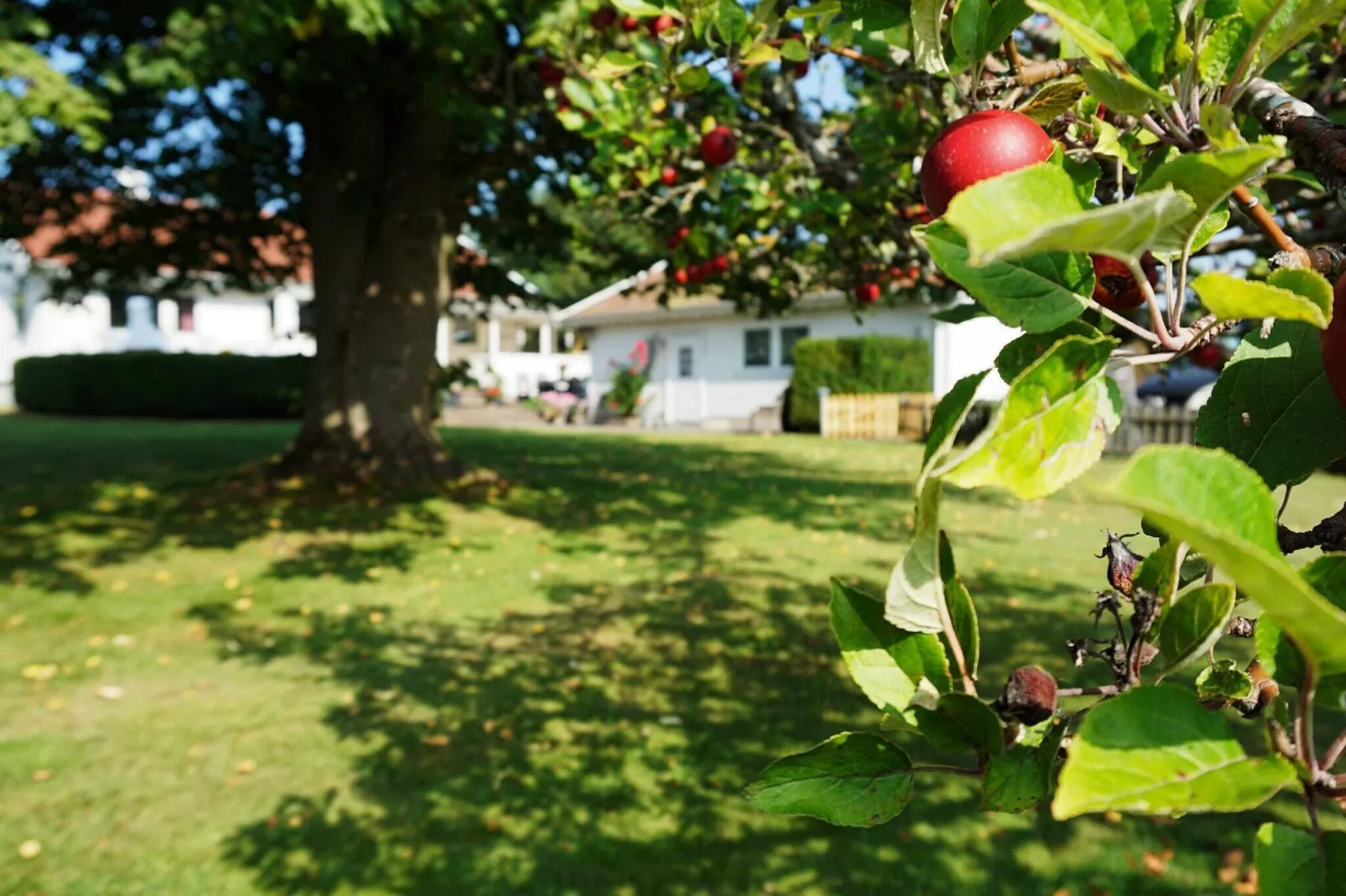 10 persoons vakantie huis in ÅSA-Buitenlucht