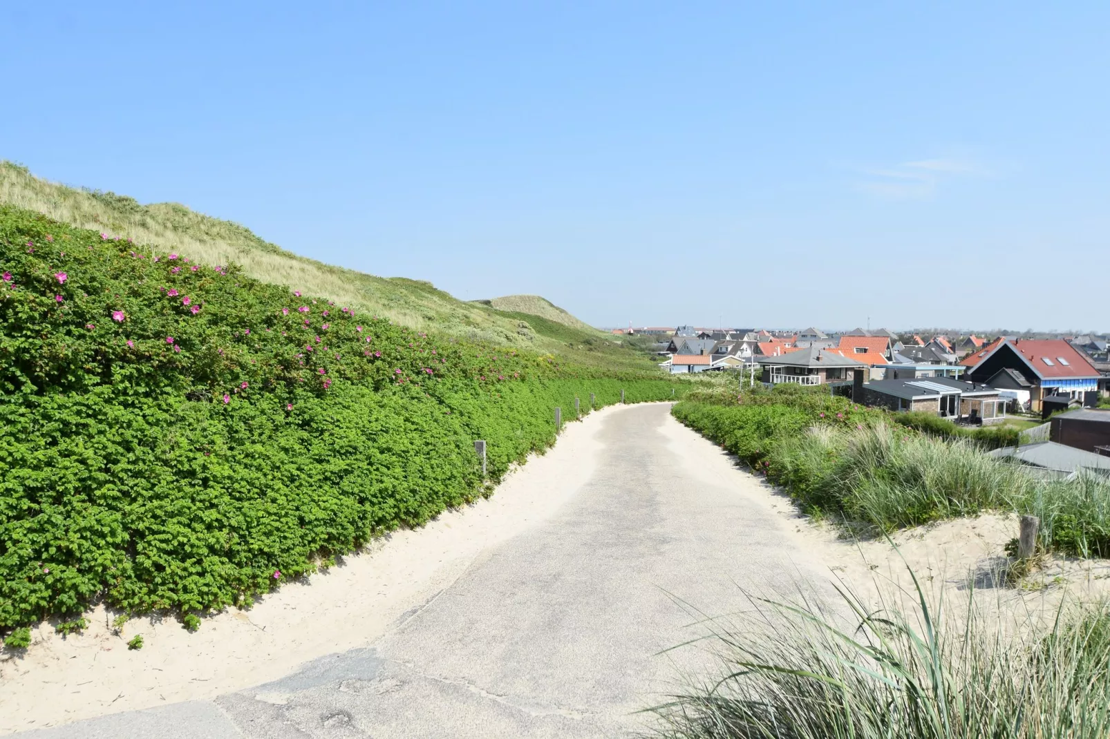 Hazenborgh - Duinhuis 2-Gebieden zomer 5km