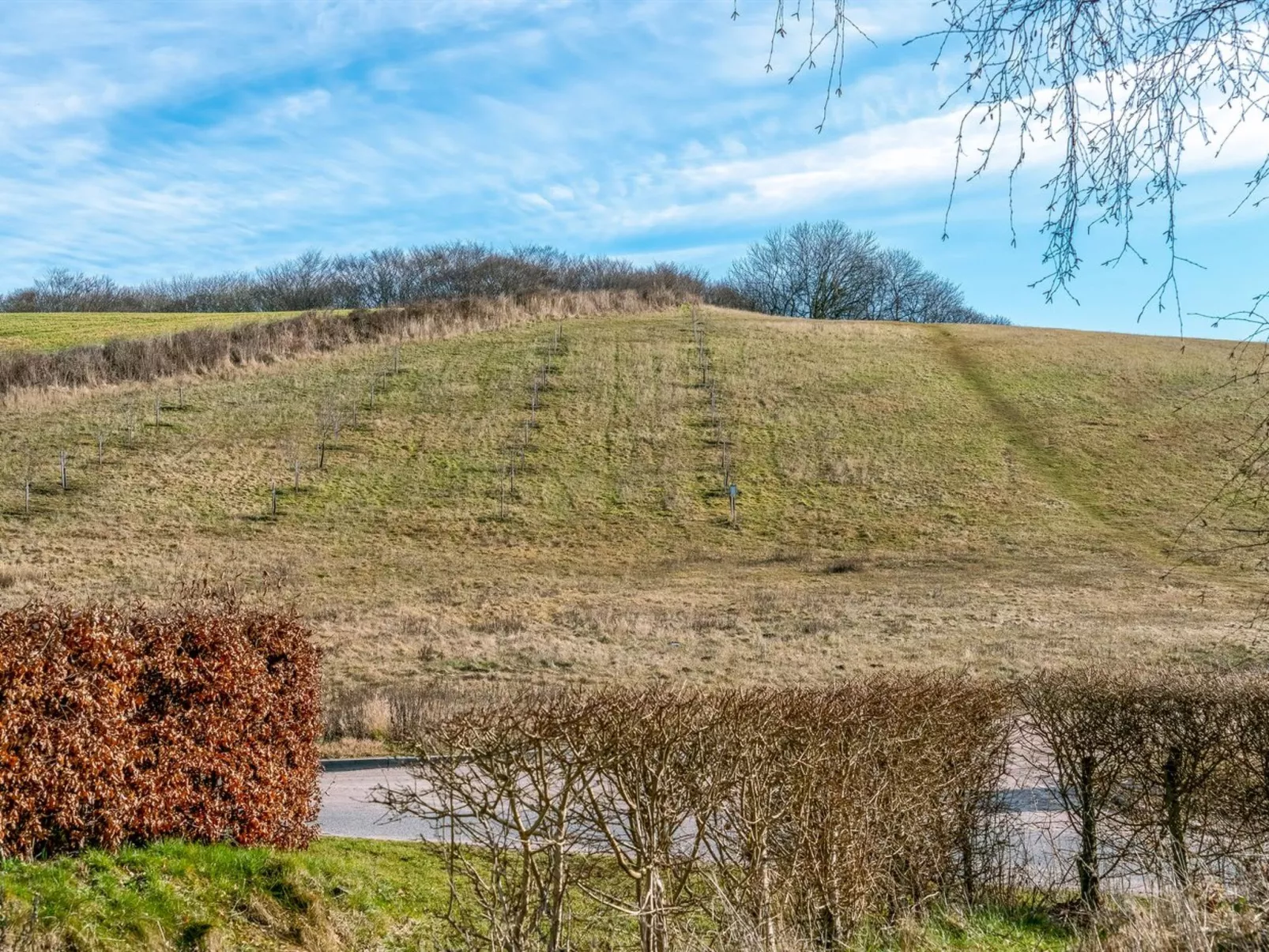 "Kalle" - 400m from the sea-Buiten