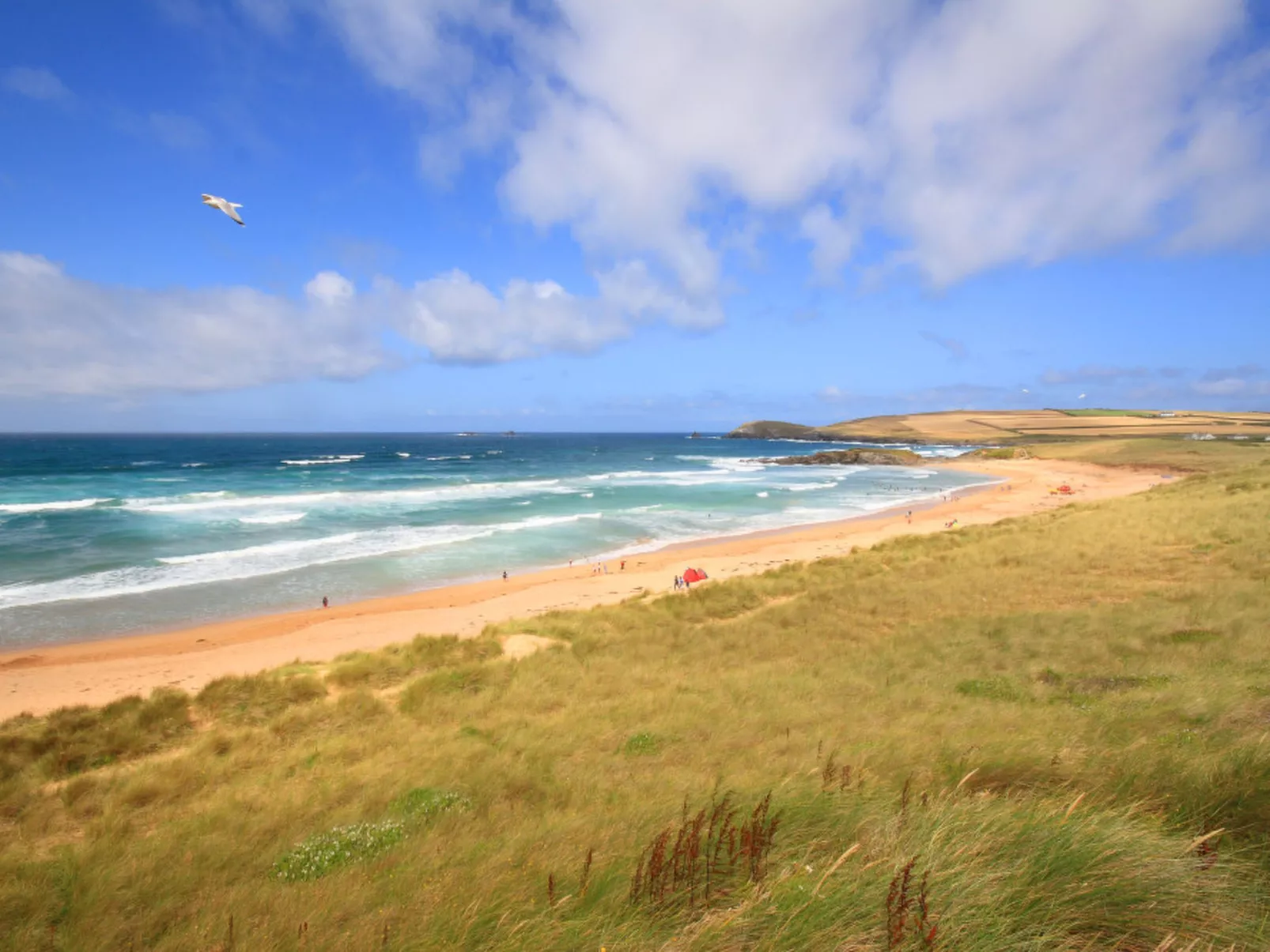 Trevose estate-Binnen