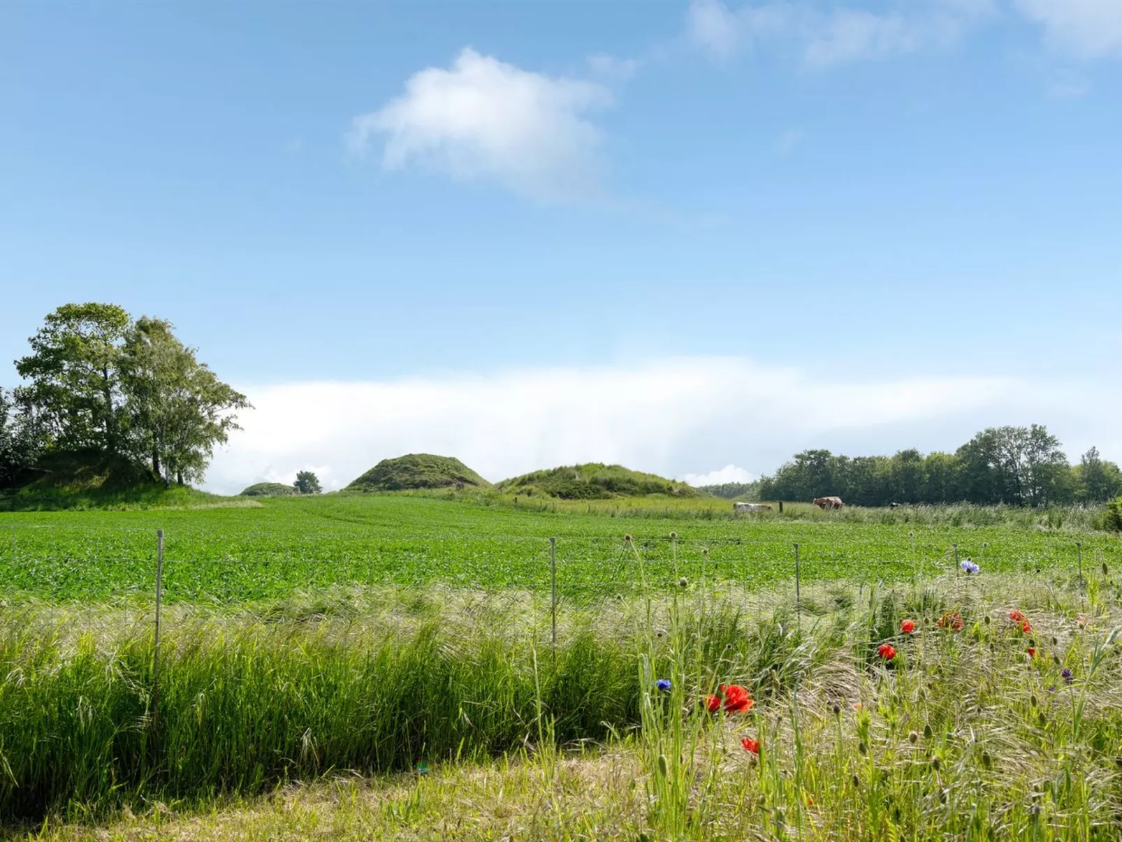"Hilja" - 1.5km from the sea in Sealand-Buiten