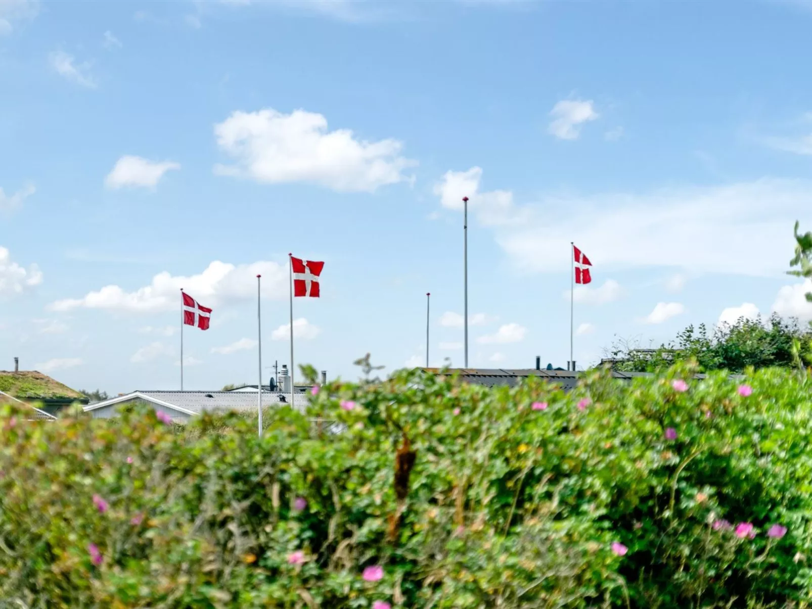 "Cvetan" - 200m from the sea-Buiten