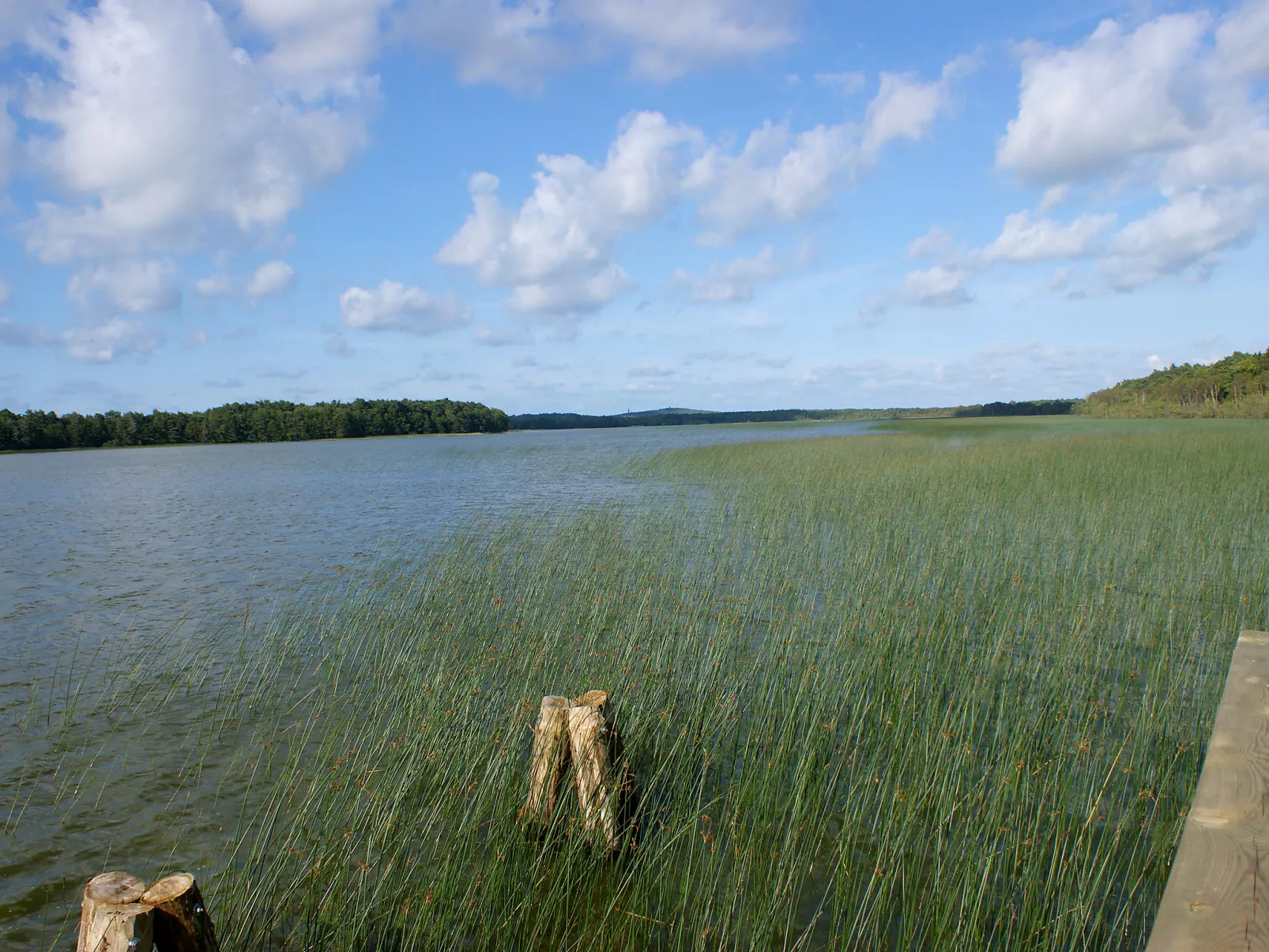 Smołdziński Las-Binnen