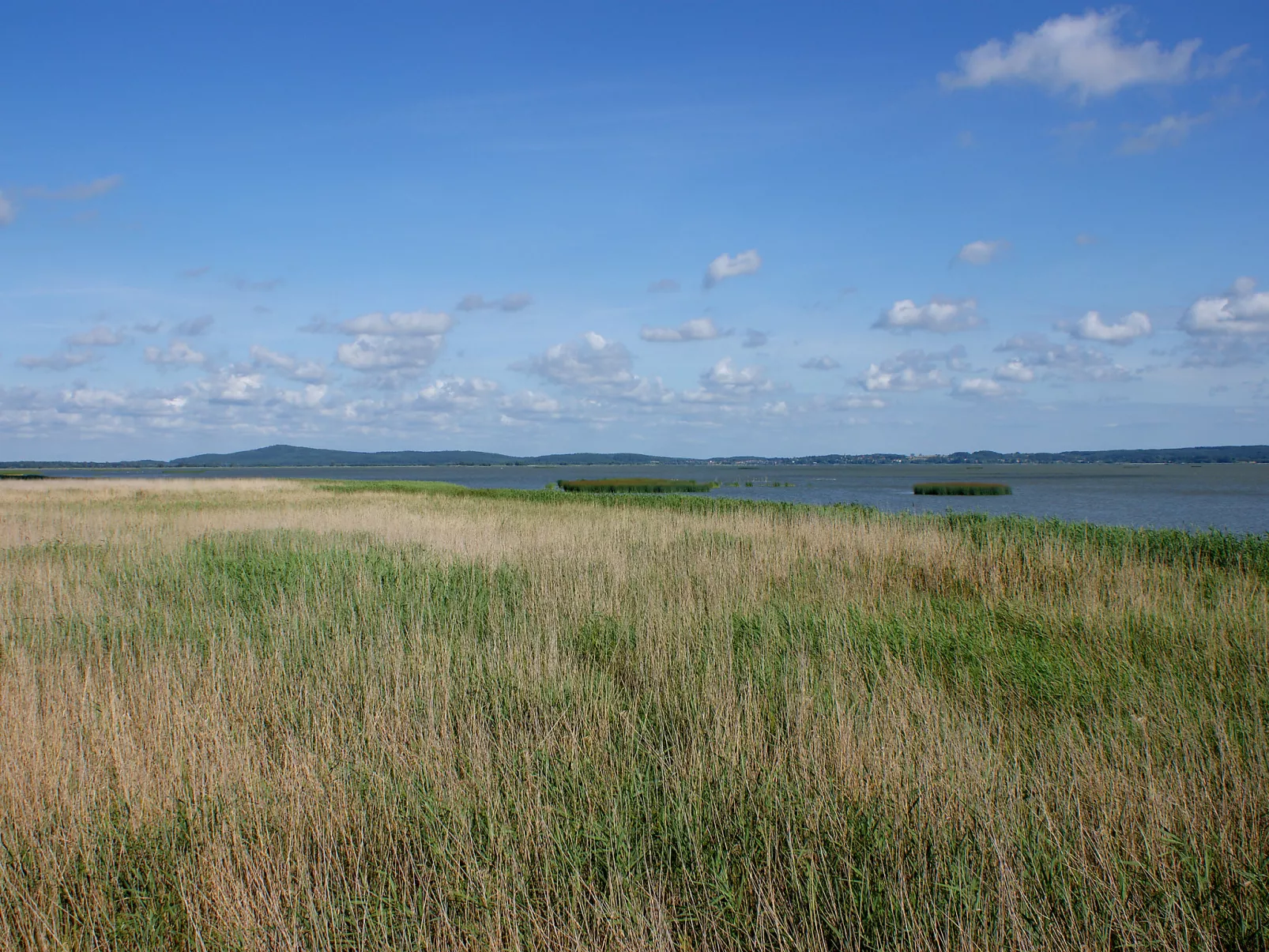 Smołdziński Las-Binnen