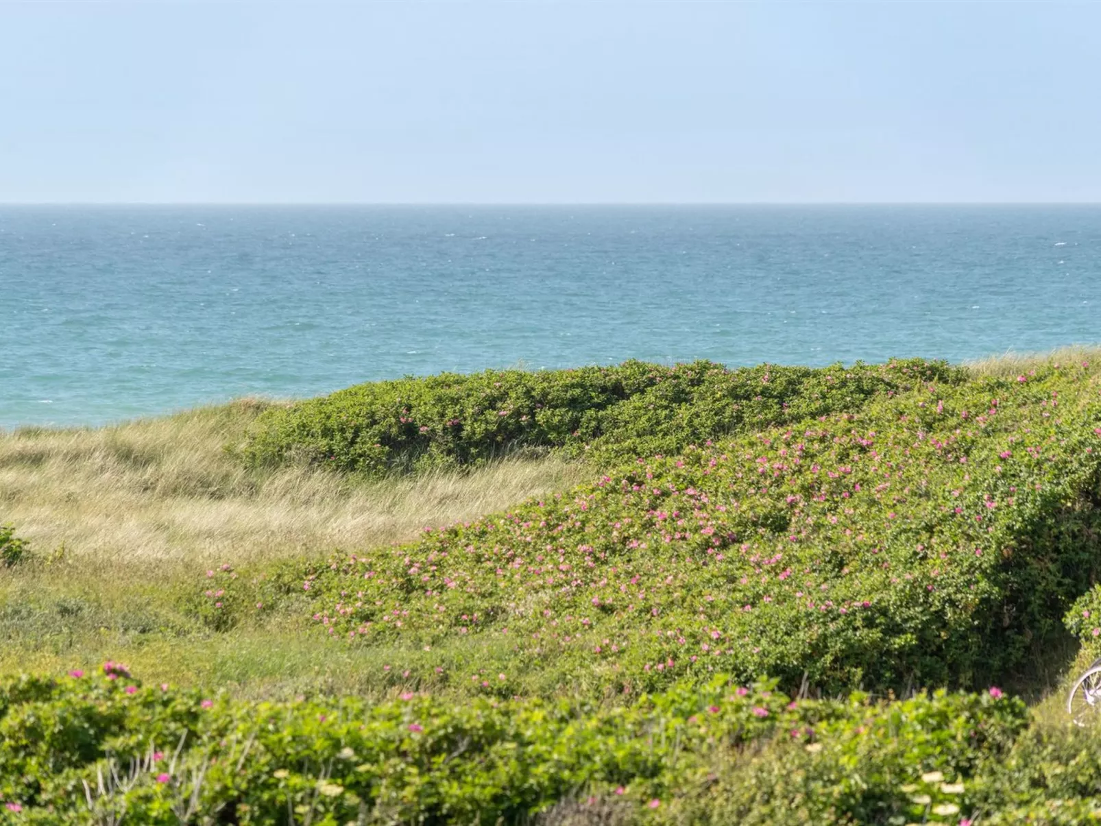 "Heidine" - 176m from the sea-Buiten