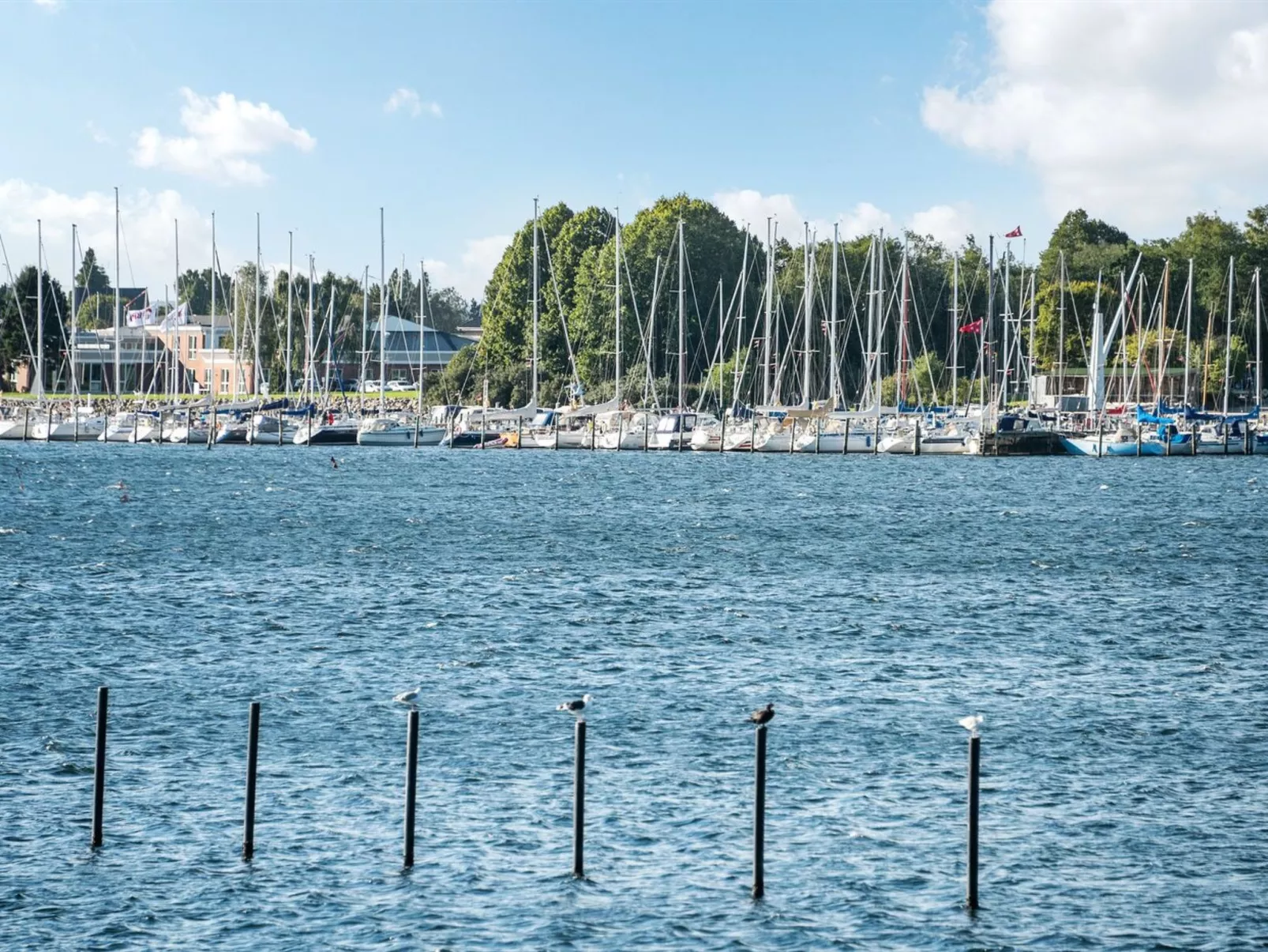 "Joar" - 5m to the inlet-Buiten
