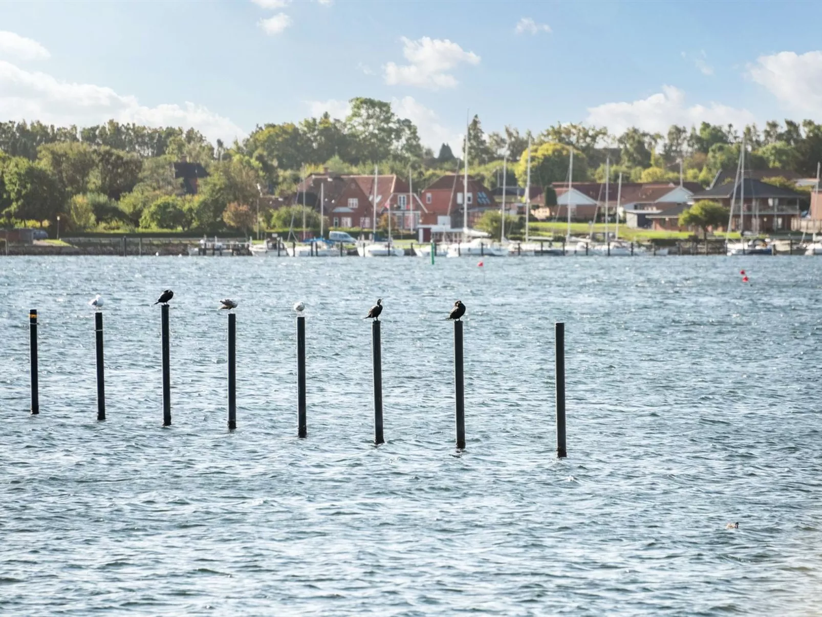 "Joar" - 5m to the inlet-Buiten