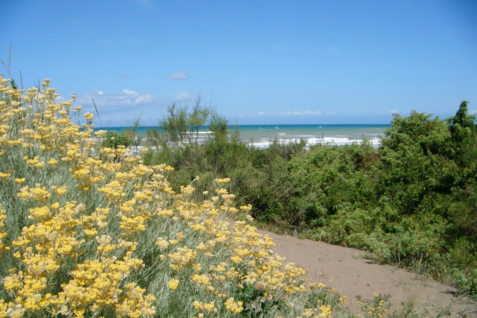 Pineta Iris-Gebieden zomer 1km