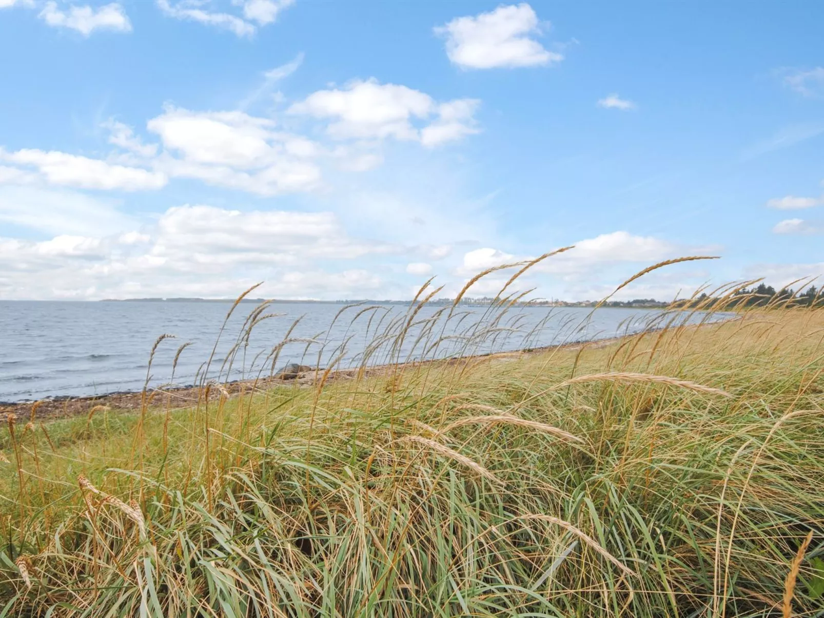 "Eisa" - 300m to the inlet-Buiten