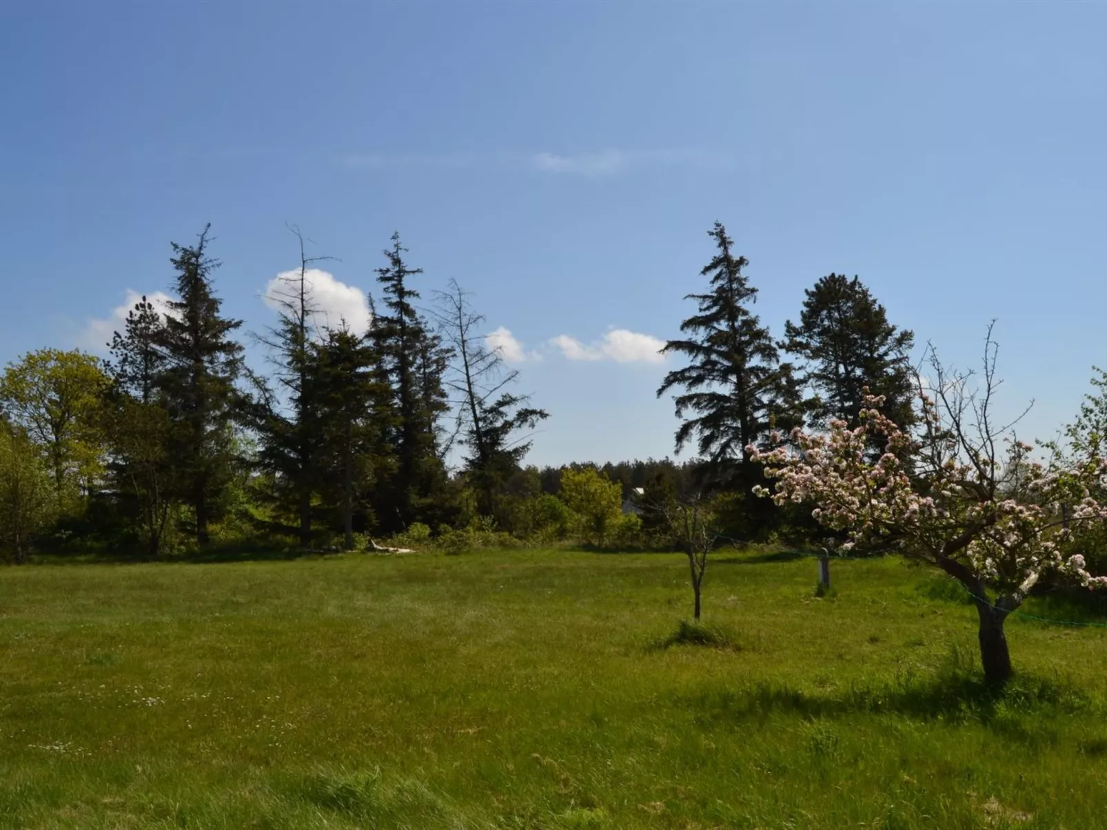 "Botmund" - 3.6km from the sea-Buiten