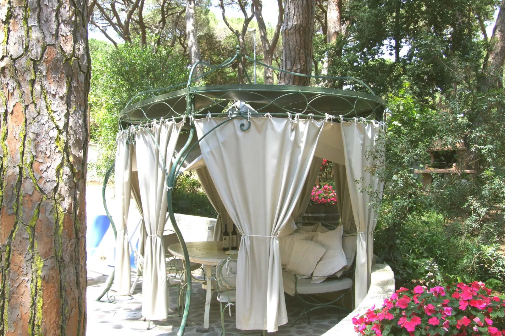 Pineta Camelia-Terrasbalkon