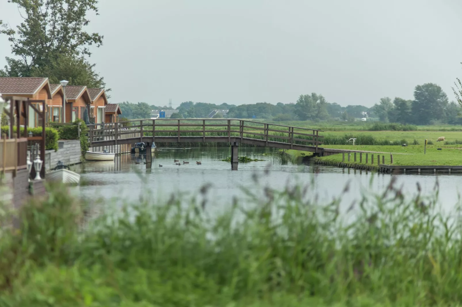 Resort de Rijp 7-Gebieden zomer 1km