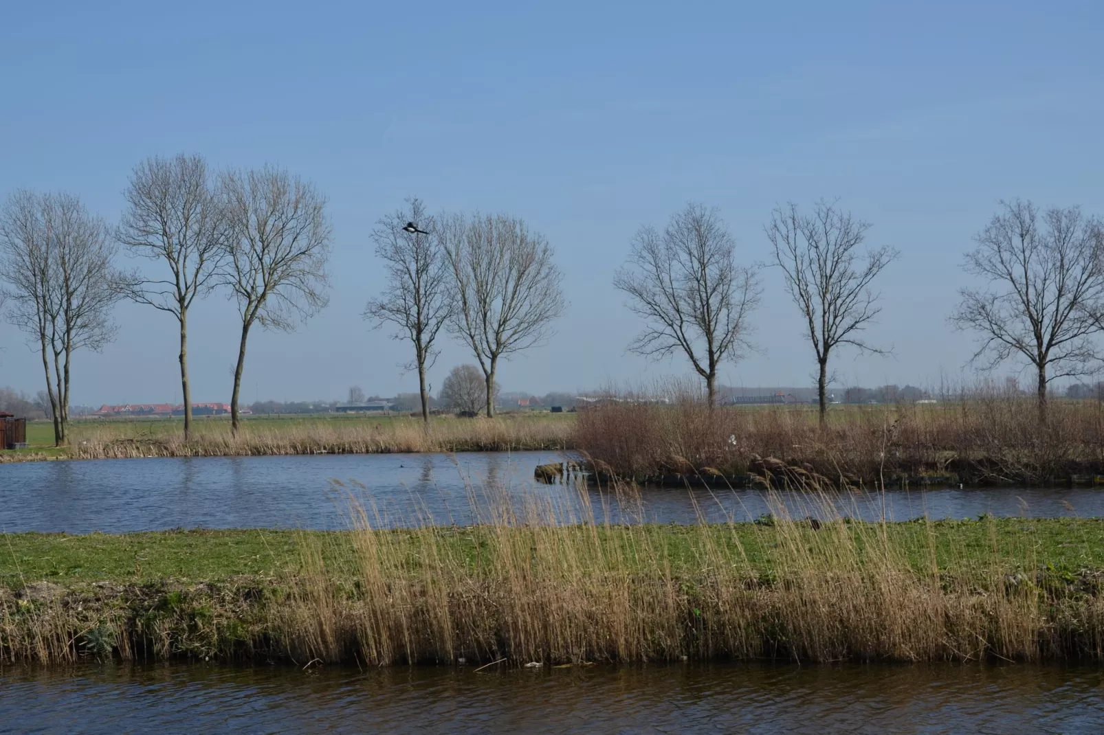 Resort de Rijp 7-Gebieden zomer 5km