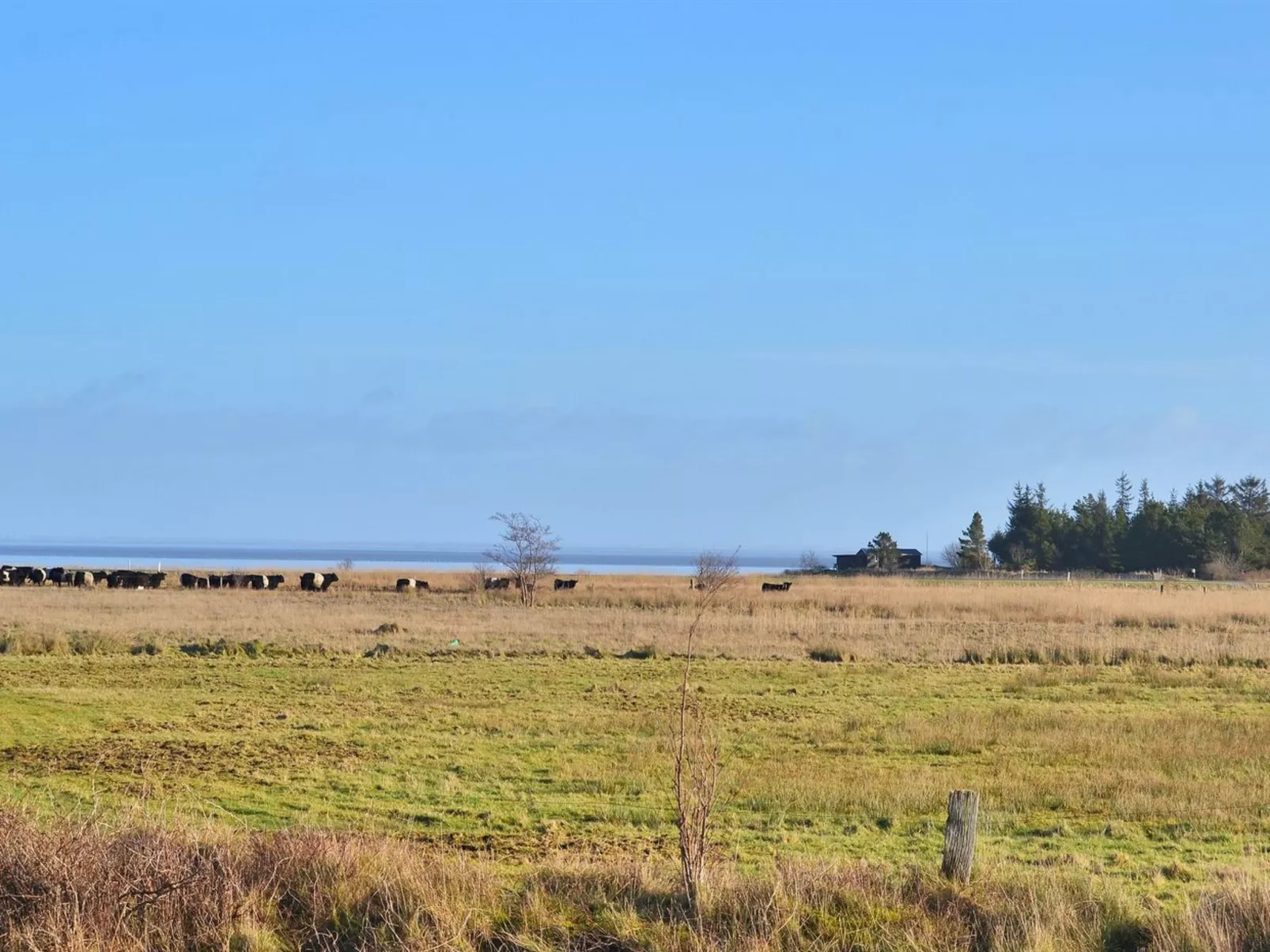 "Clare" - 4km from the sea-Buiten