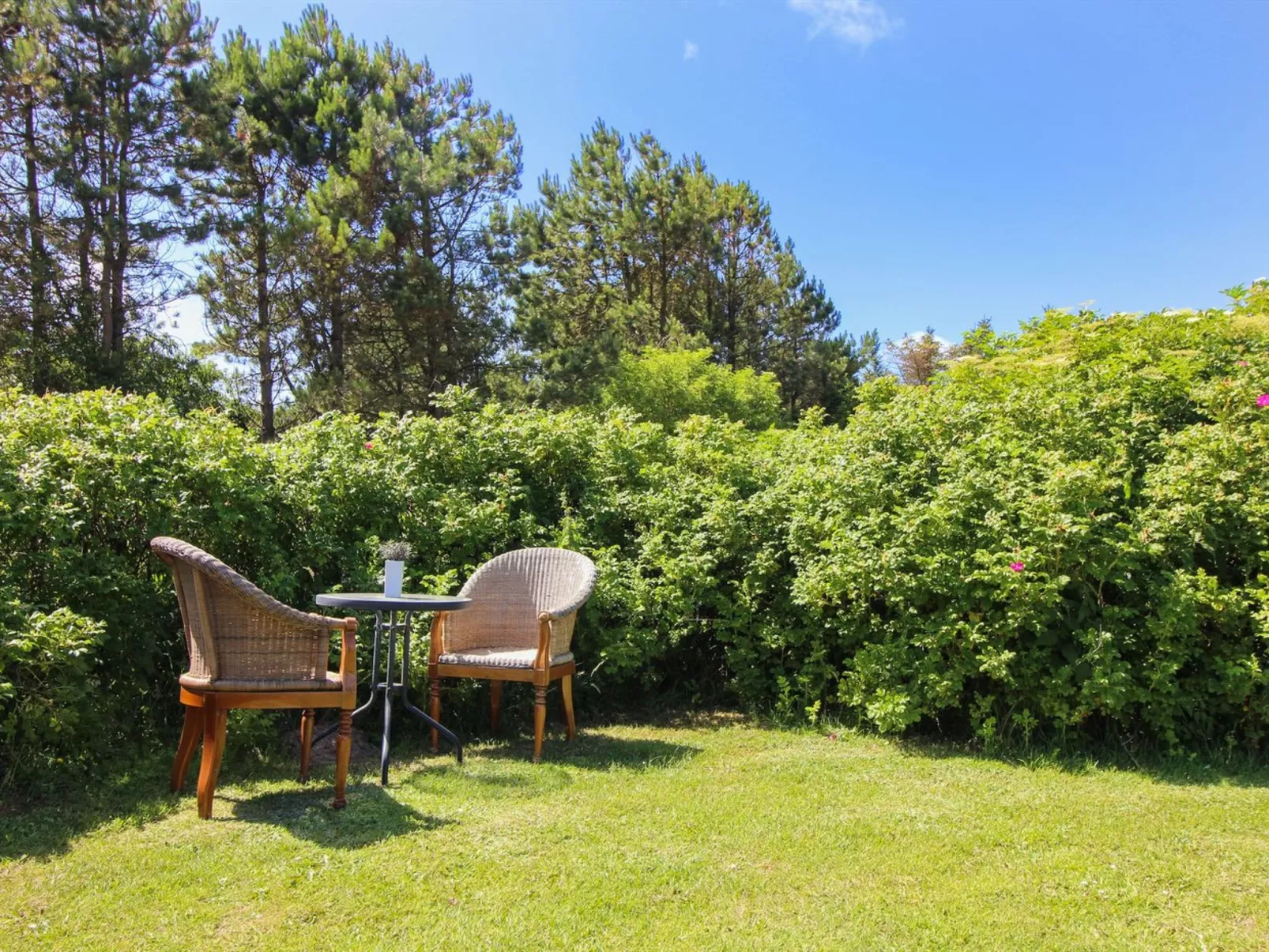 "Bistra" - 400m from the sea-Buiten