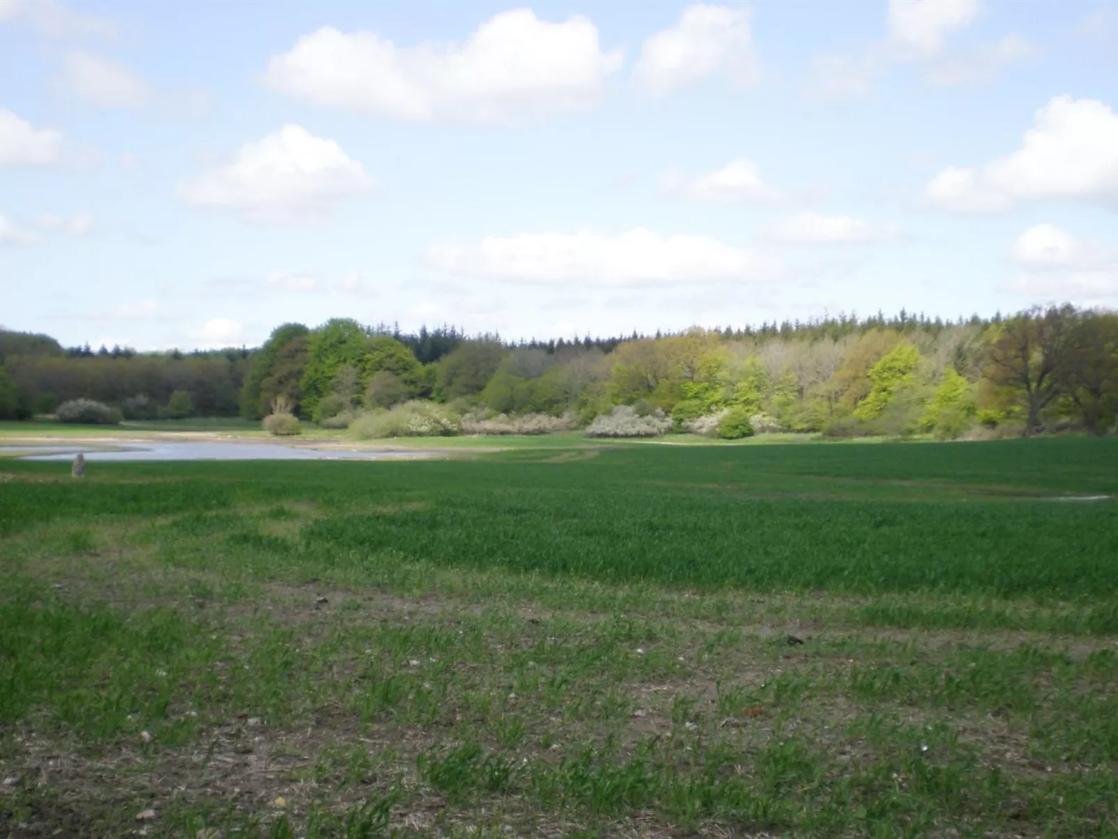 "Thia" - 4km to the inlet-Buiten