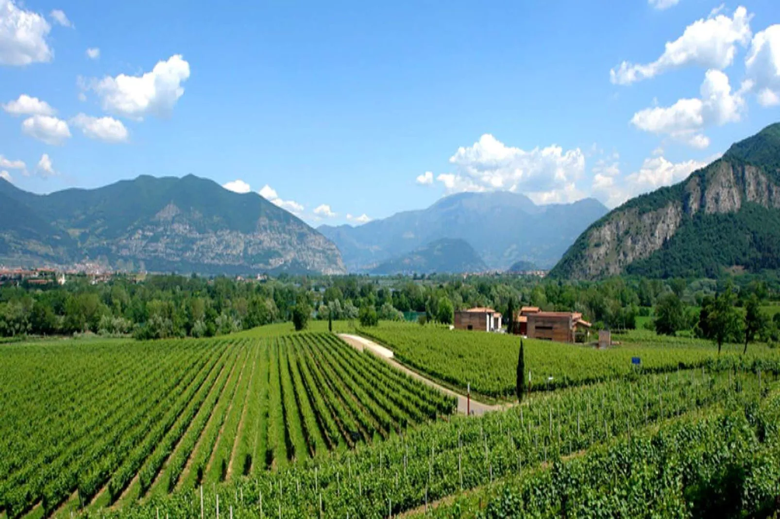 Franciacorta-Gebieden zomer 1km