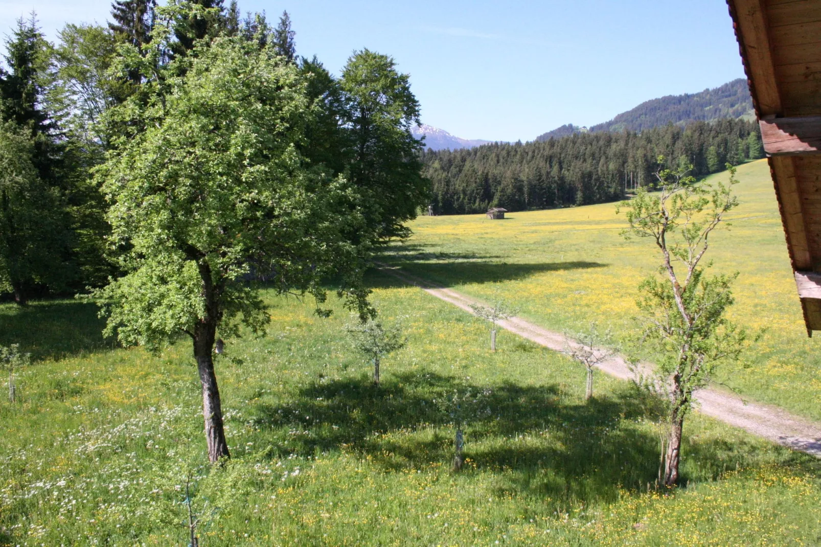 Haus Harpfen-Uitzicht zomer