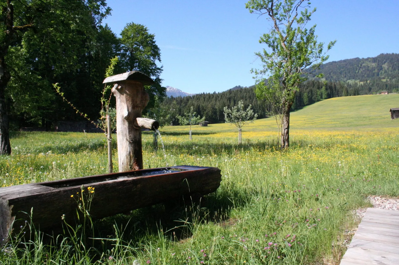 Haus Harpfen-Tuinen zomer