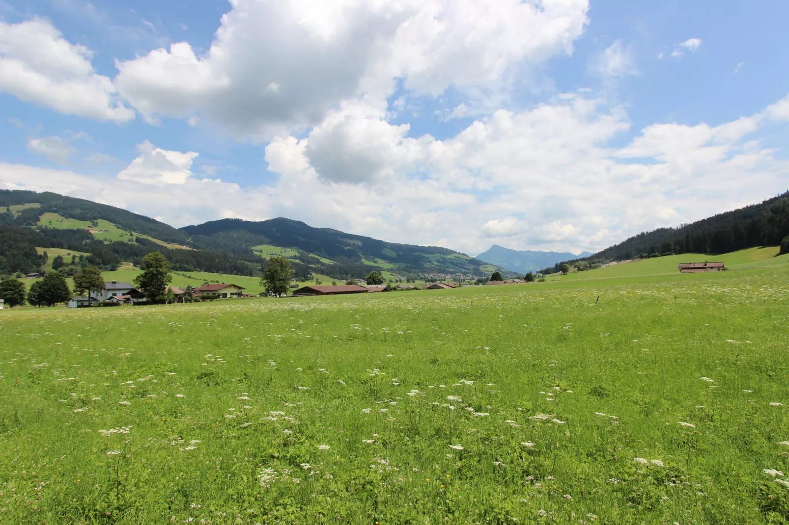 Haus Harpfen-Gebieden zomer 20km